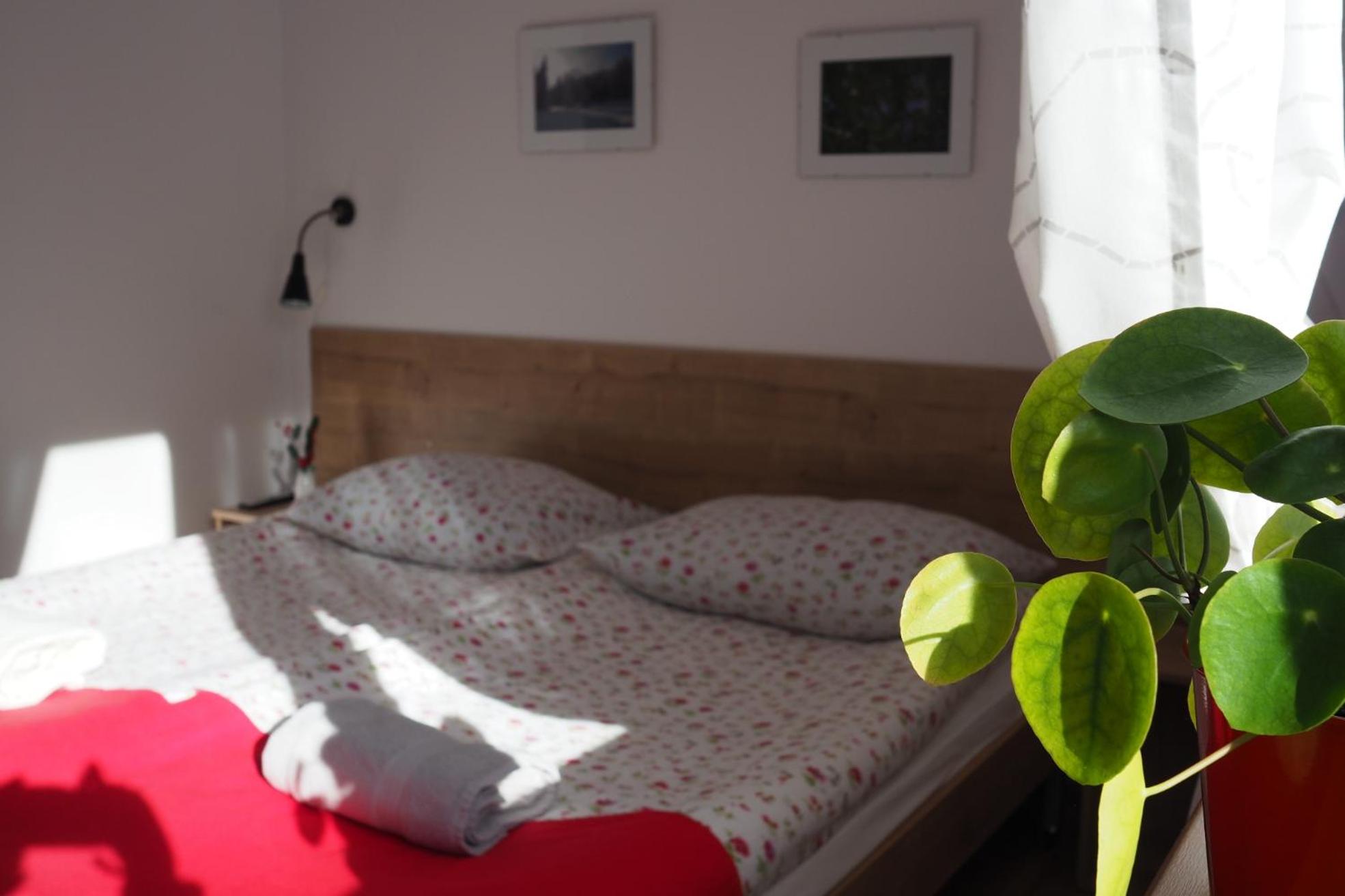 Double Room photo 3
