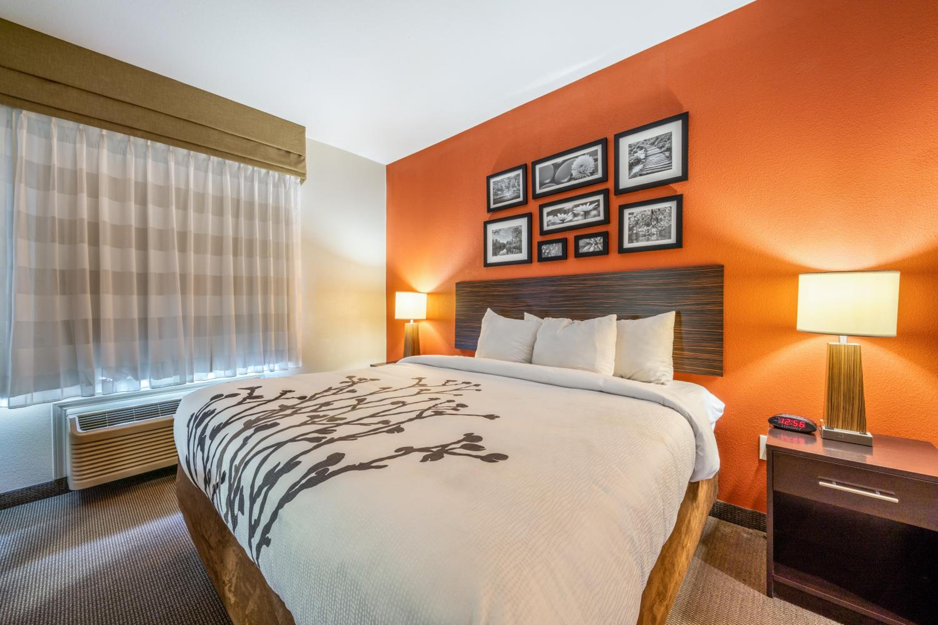 King Room - Photo 6