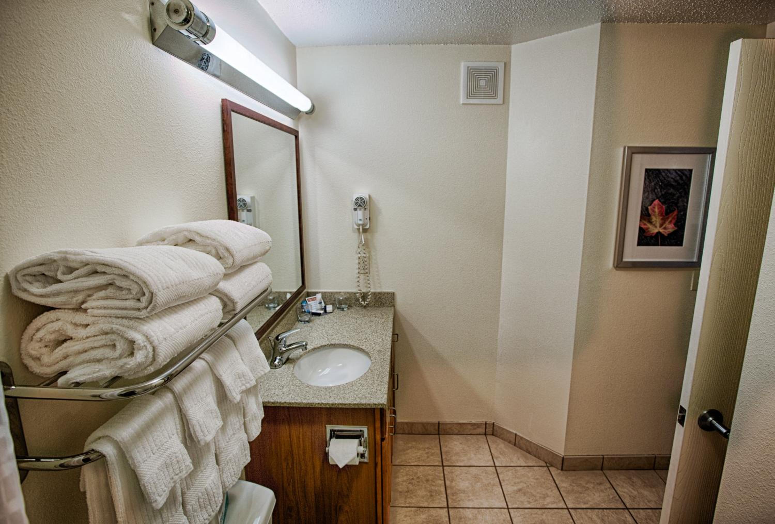 One-Bedroom Suite - Photo 10