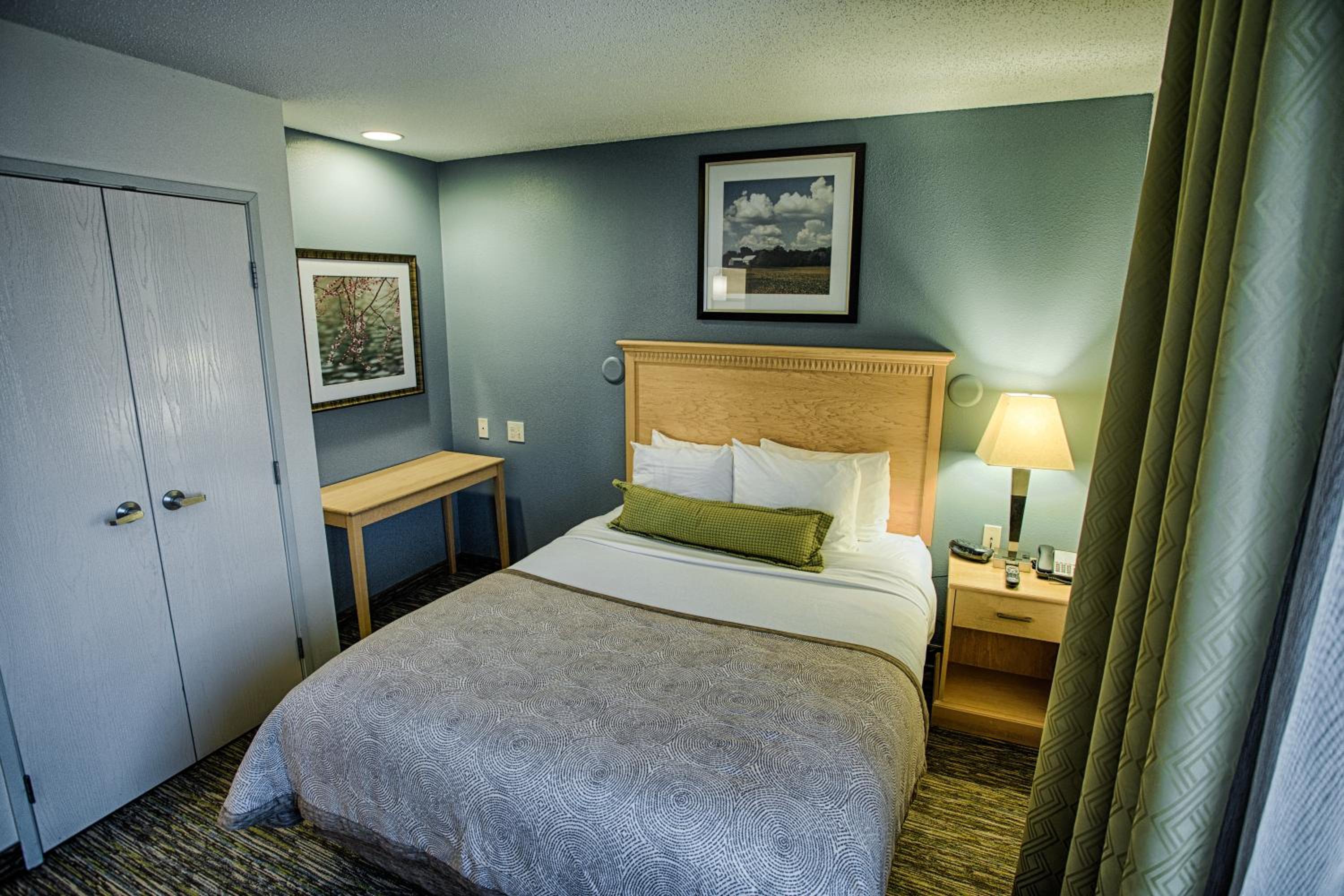 One-Bedroom Suite - Photo 6