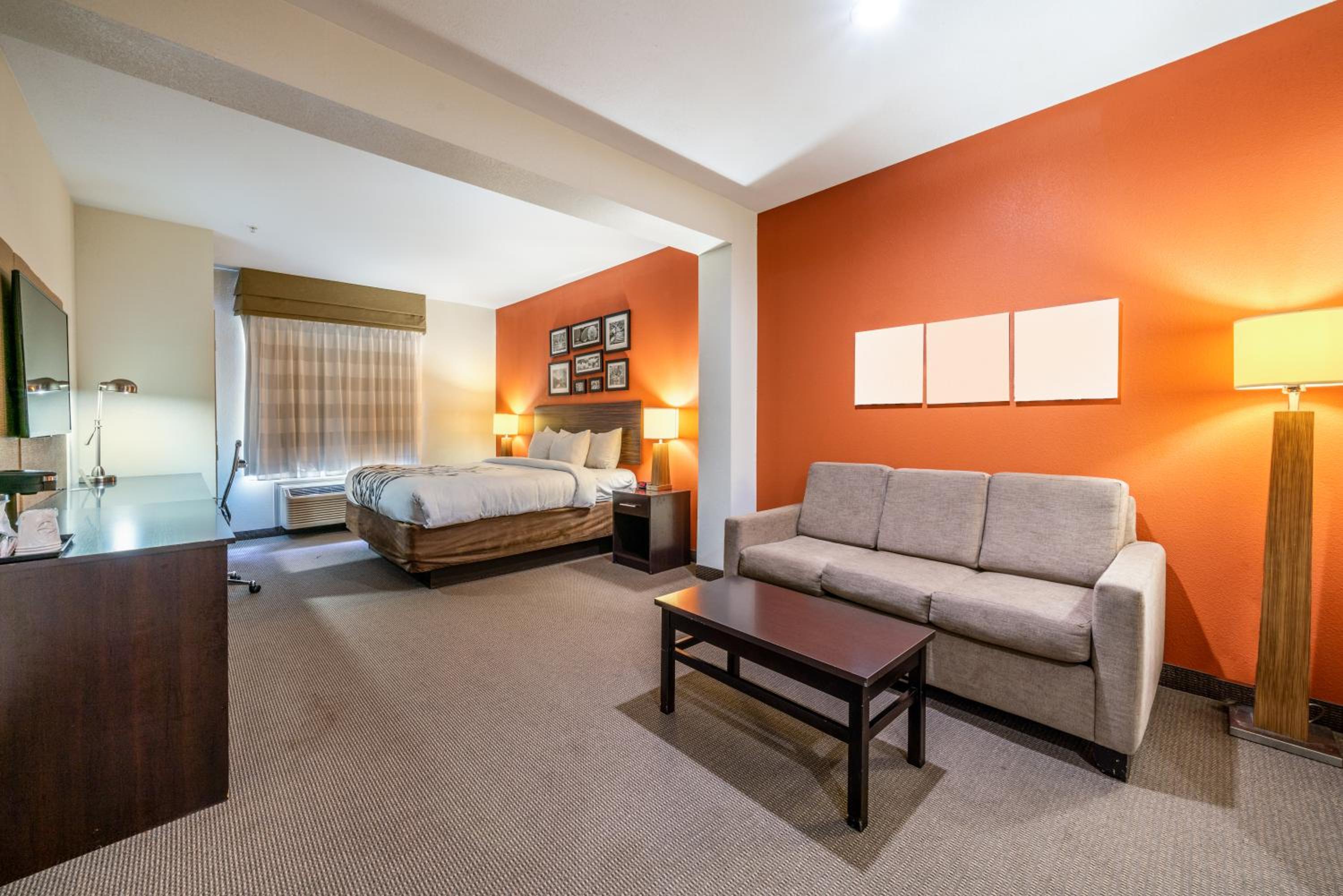 King Suite with Sofa Bed - Photo 4