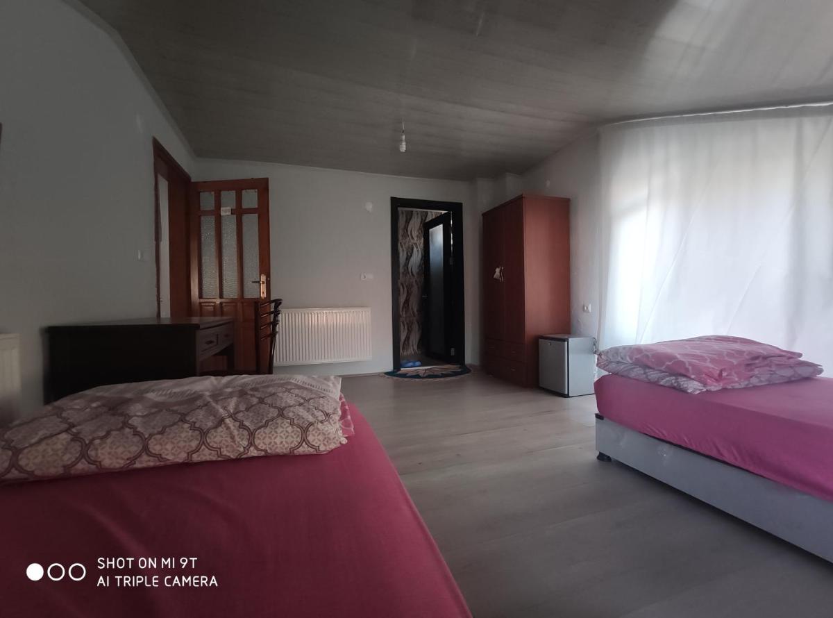 Double or Twin Room with Mountain View