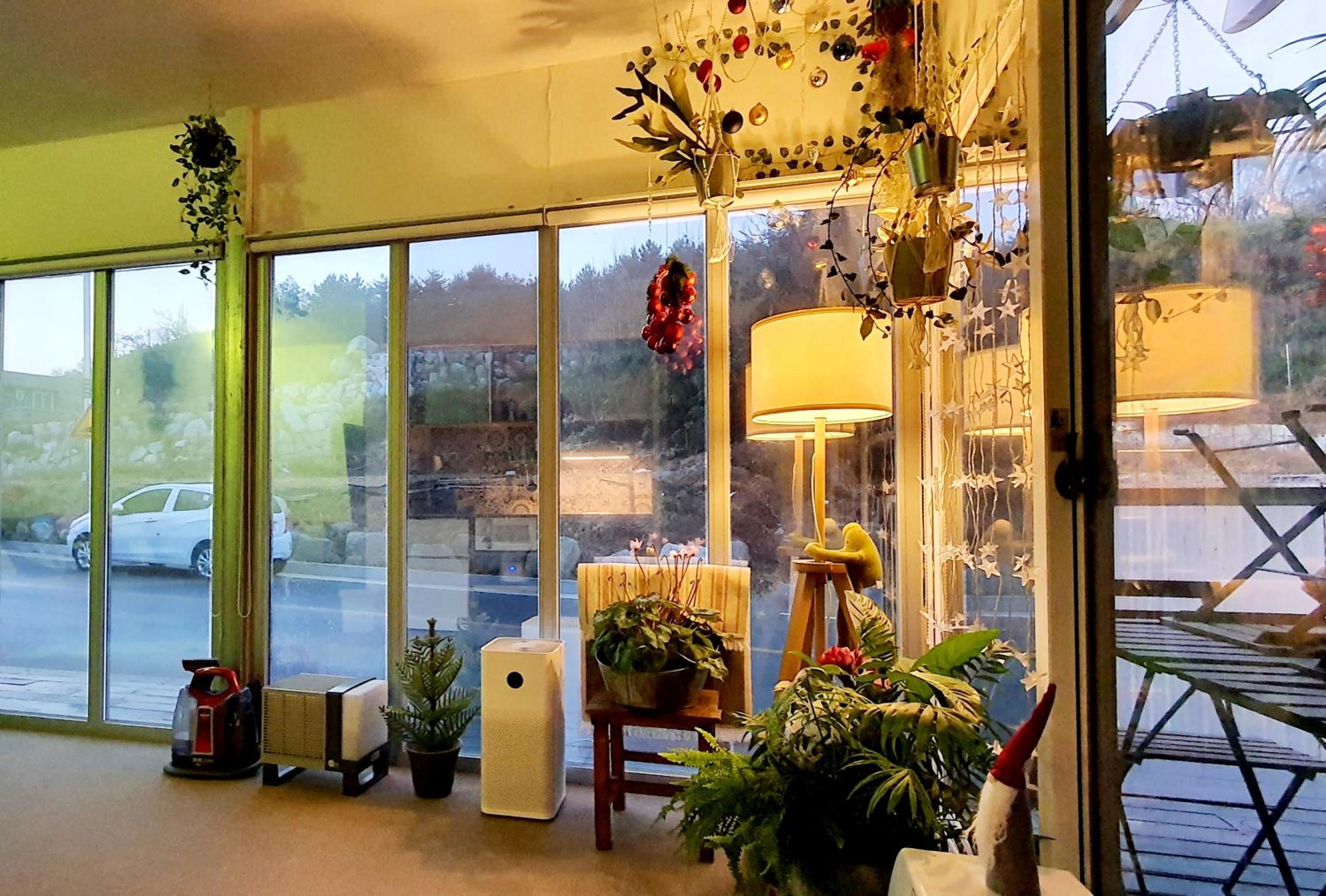 One-Bedroom House photo 2
