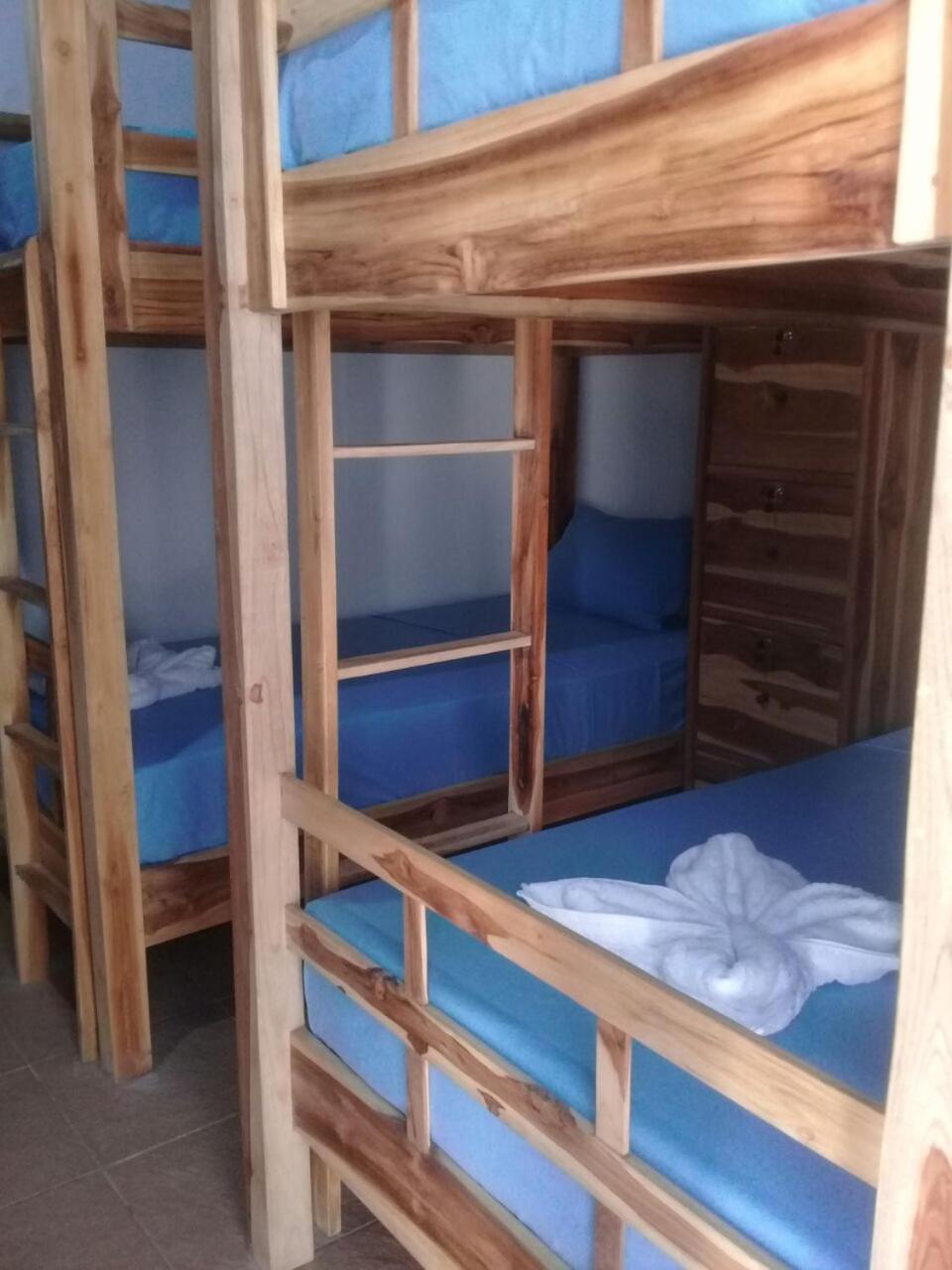 Bed in 8-Bed Mixed Dormitory Room
