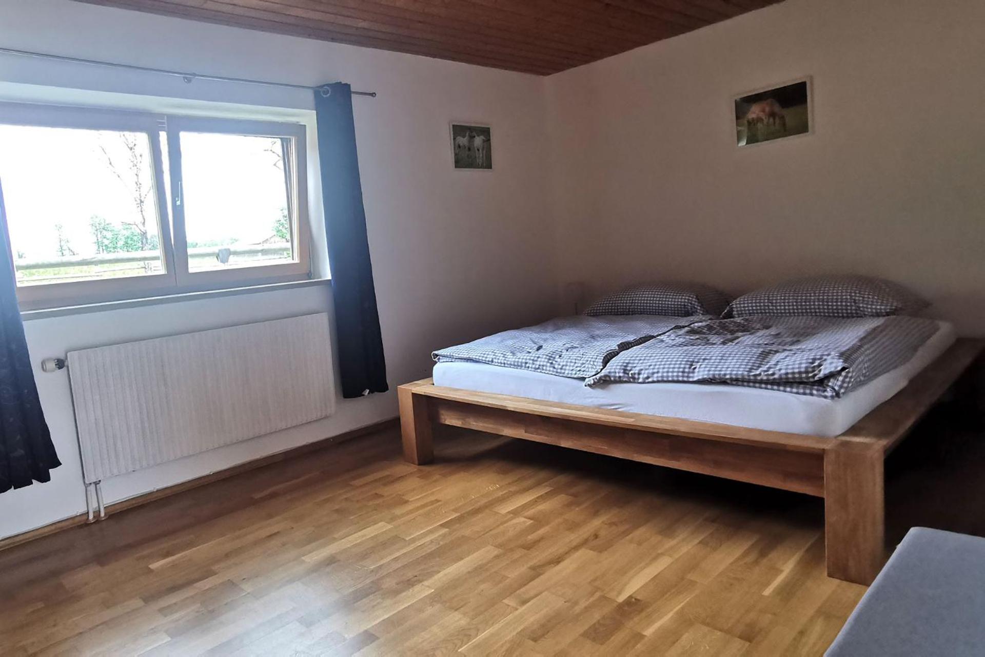 Apartment with Terrace photo 3