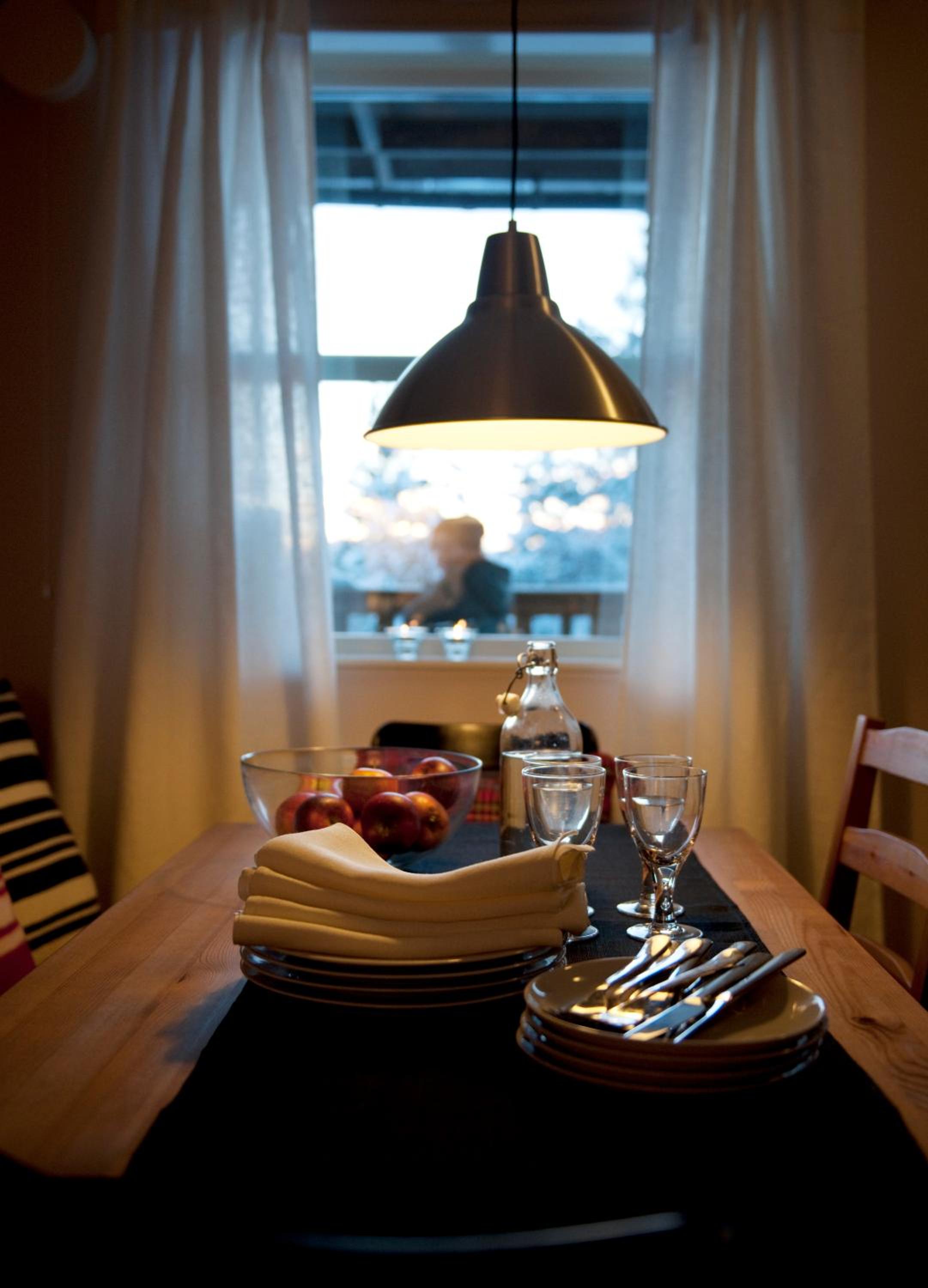 Budget One-Bedroom Apartment photo 2