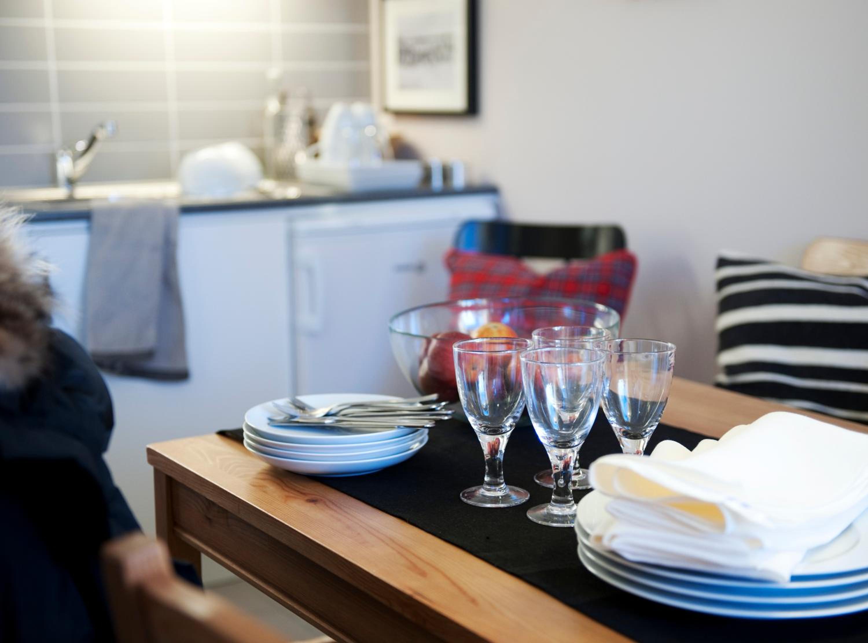 Budget One-Bedroom Apartment photo 3