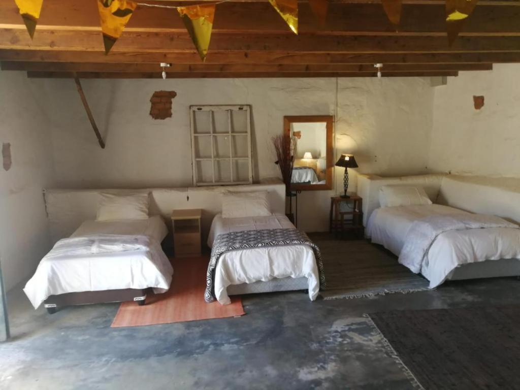 Single Bed in Mixed Dormitory Room photo 3