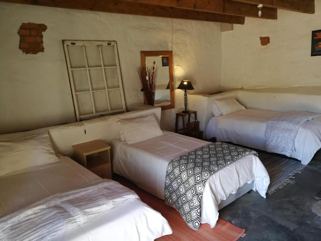Single Bed in Mixed Dormitory Room photo 1
