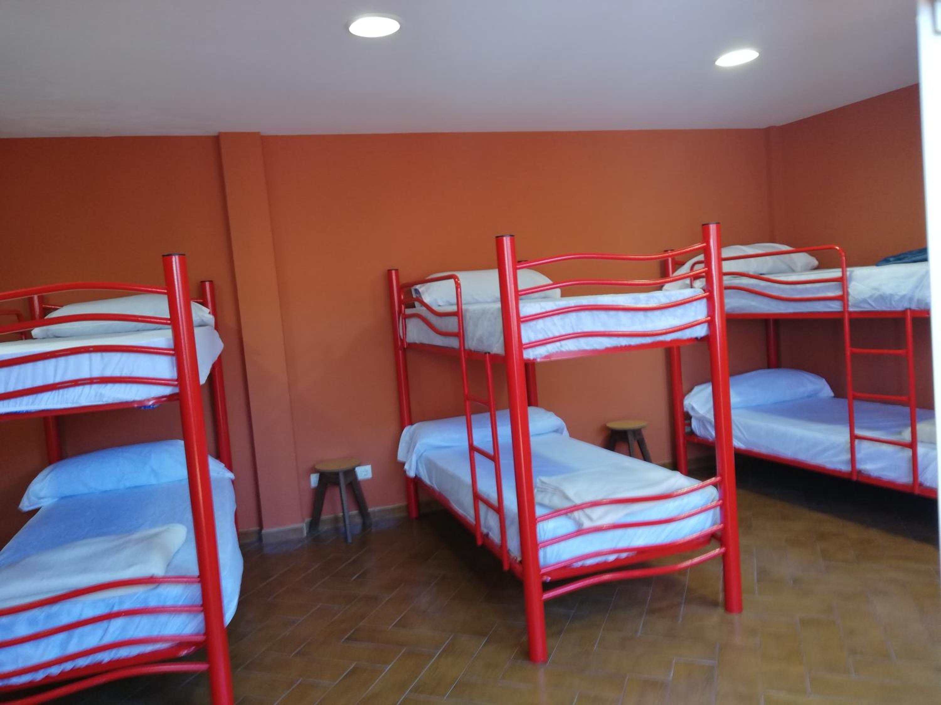Bunk Bed in Mixed Dormitory Room photo 3