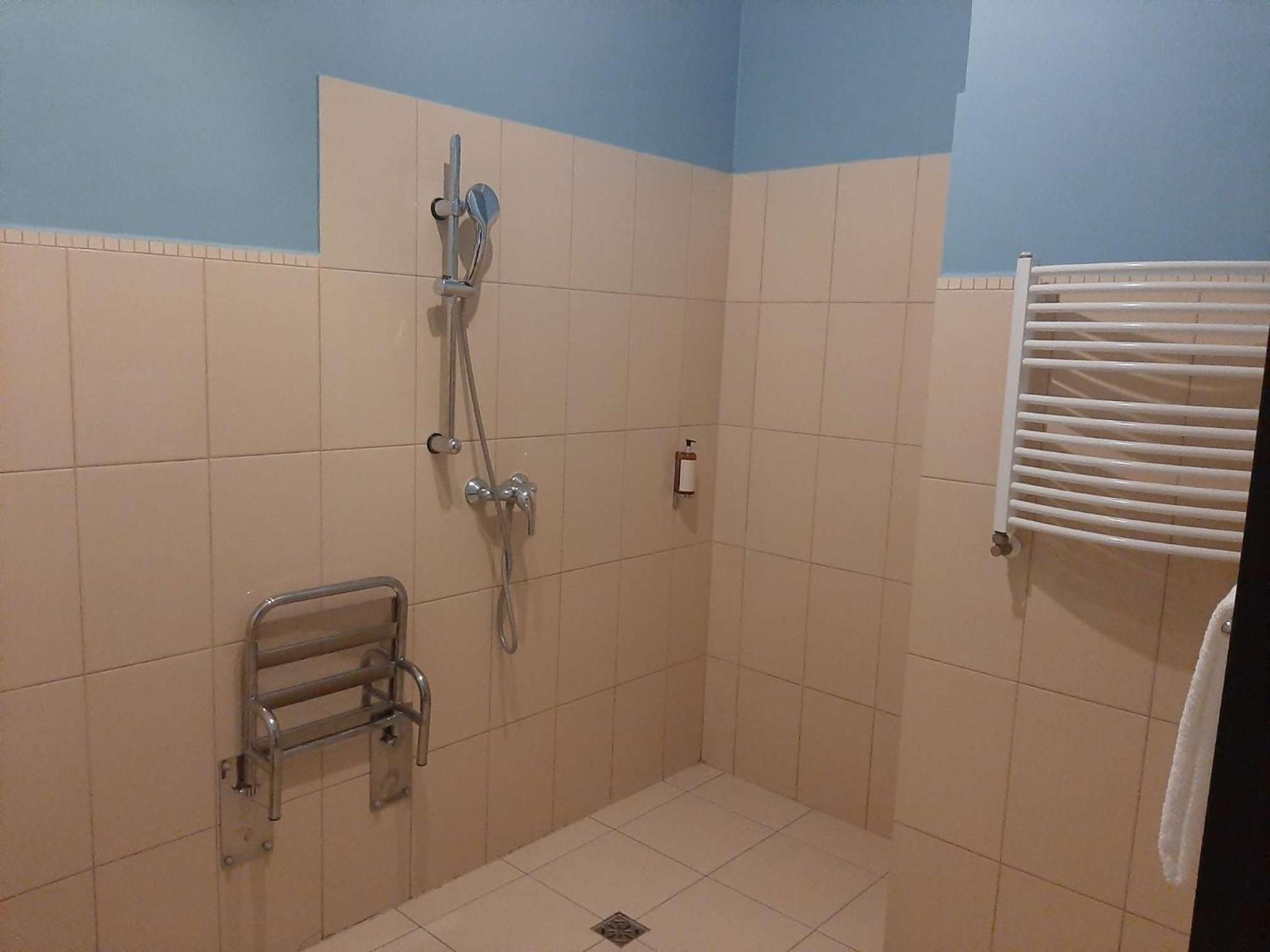 Deluxe Single Room photo 3