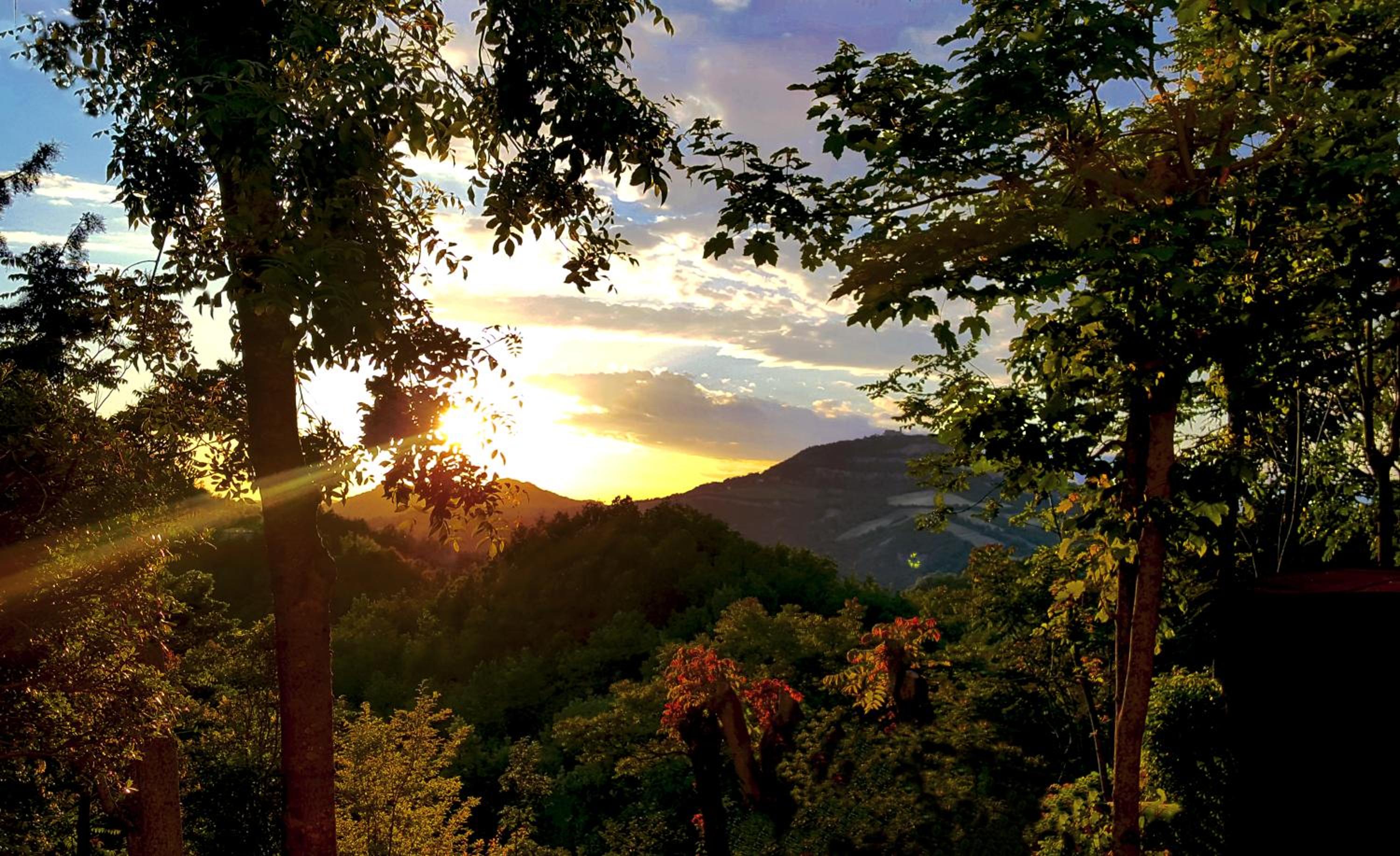 Double Room With Mountain View photo 2