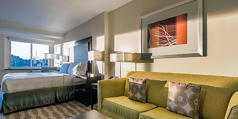 King Suite with Sofa Bed photo 1