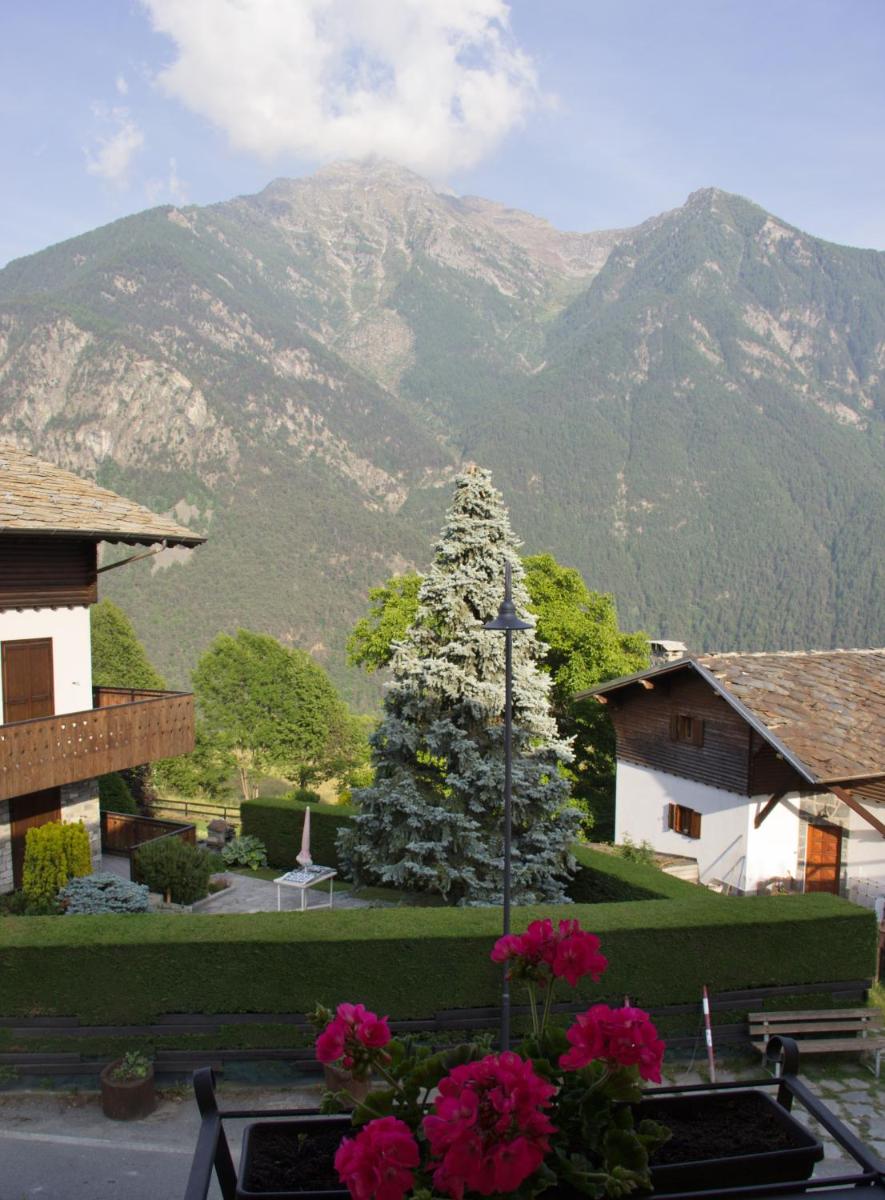 Double Room with Mountain View photo 1