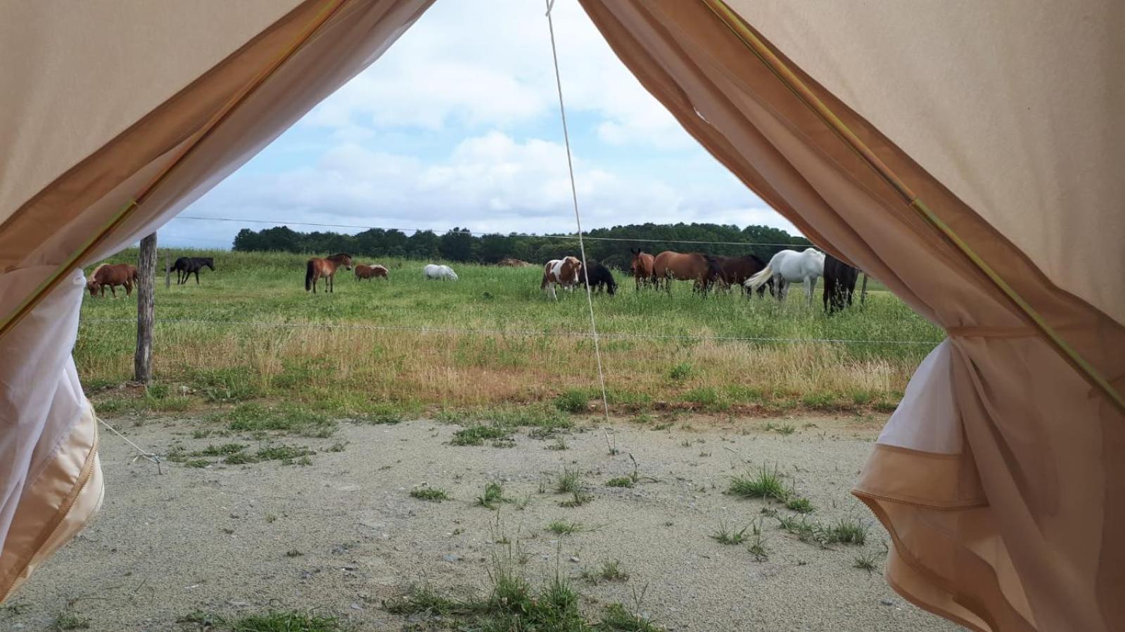 Tent 1 photo 3