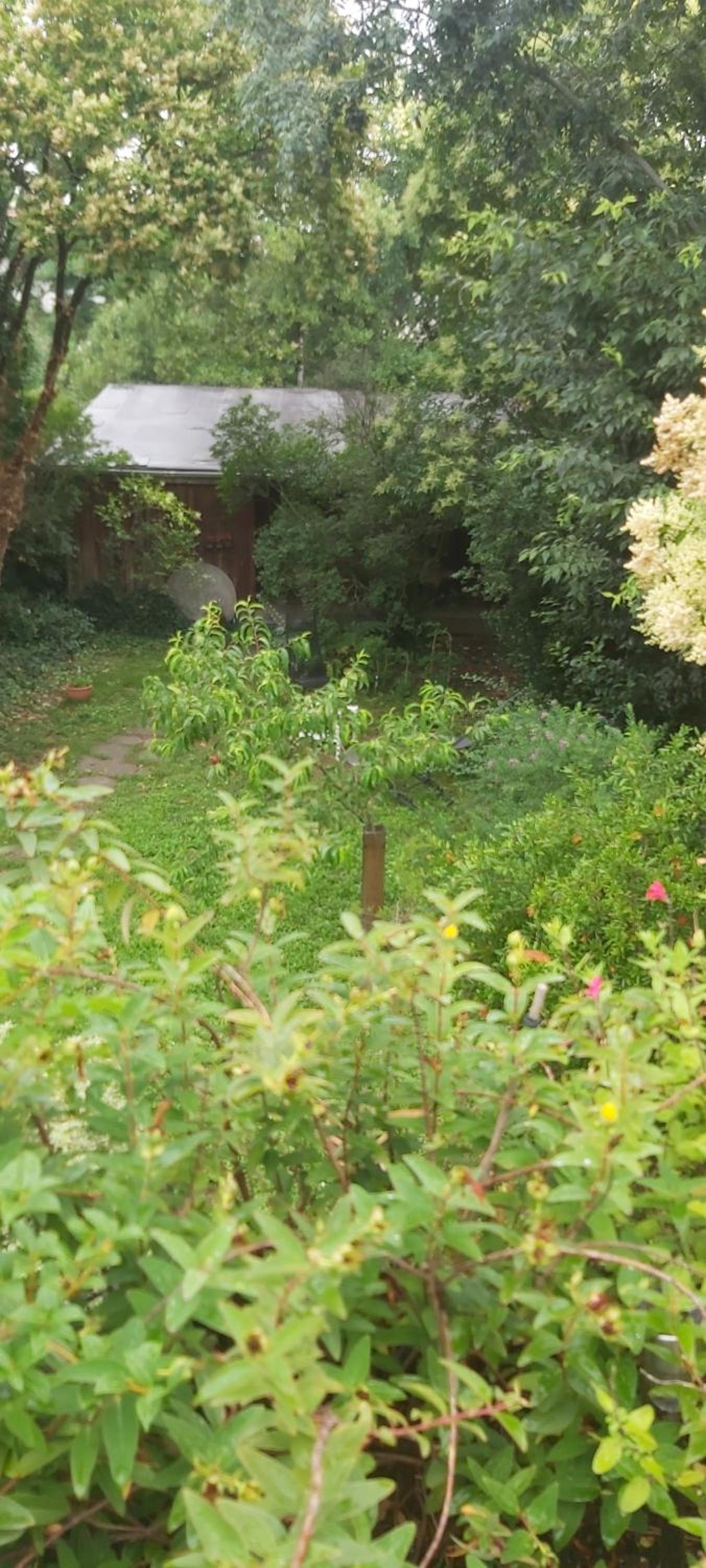 Chalet - Photo 7