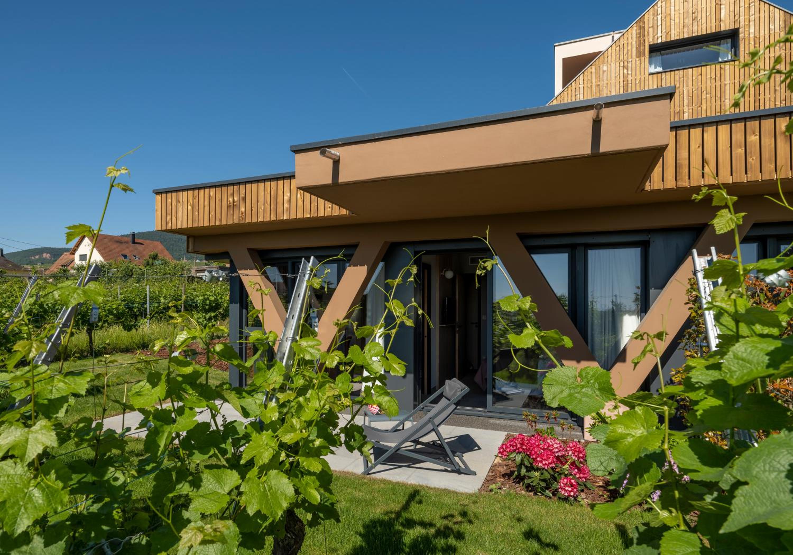 Suite dans les vignes photo 3