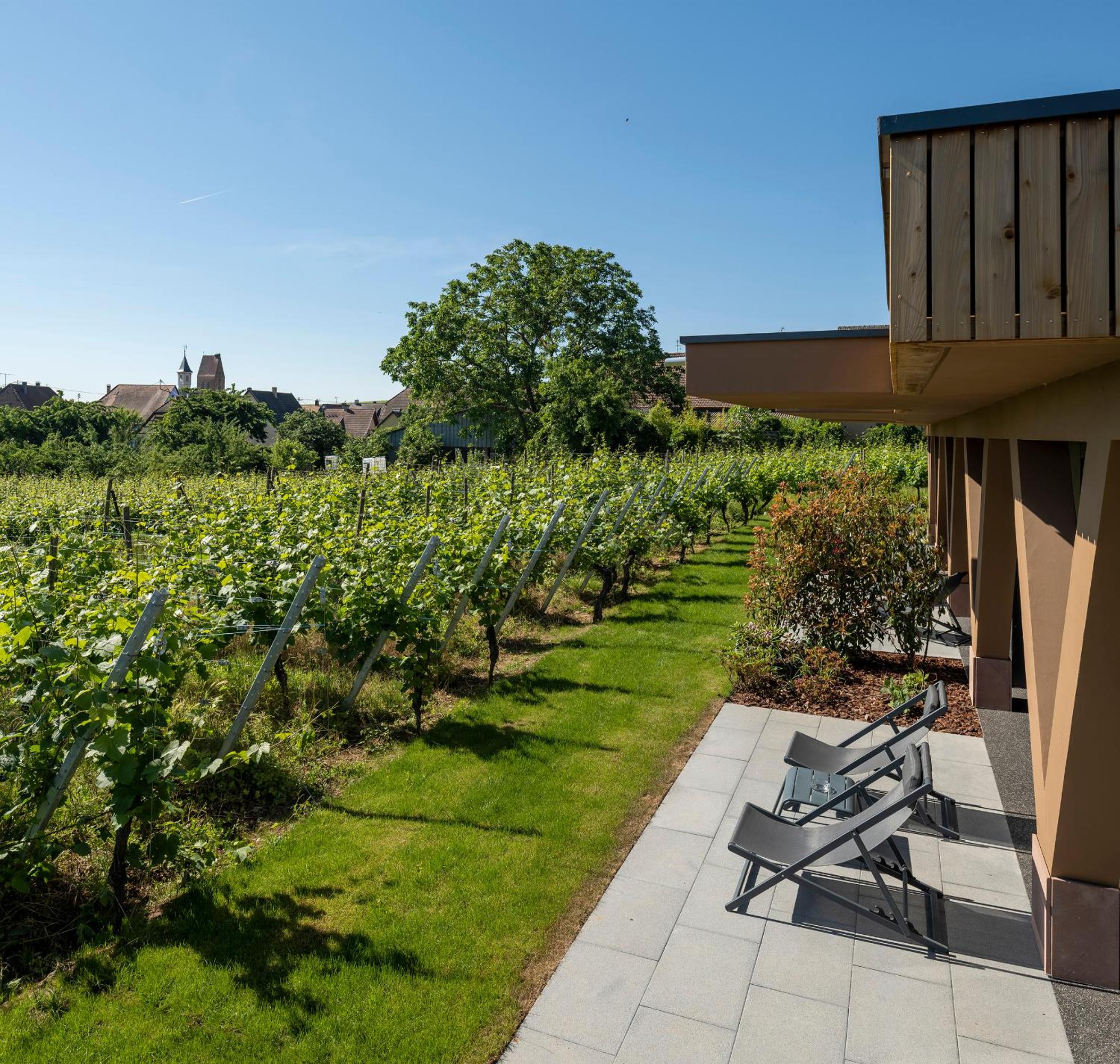 Suite dans les vignes photo 2
