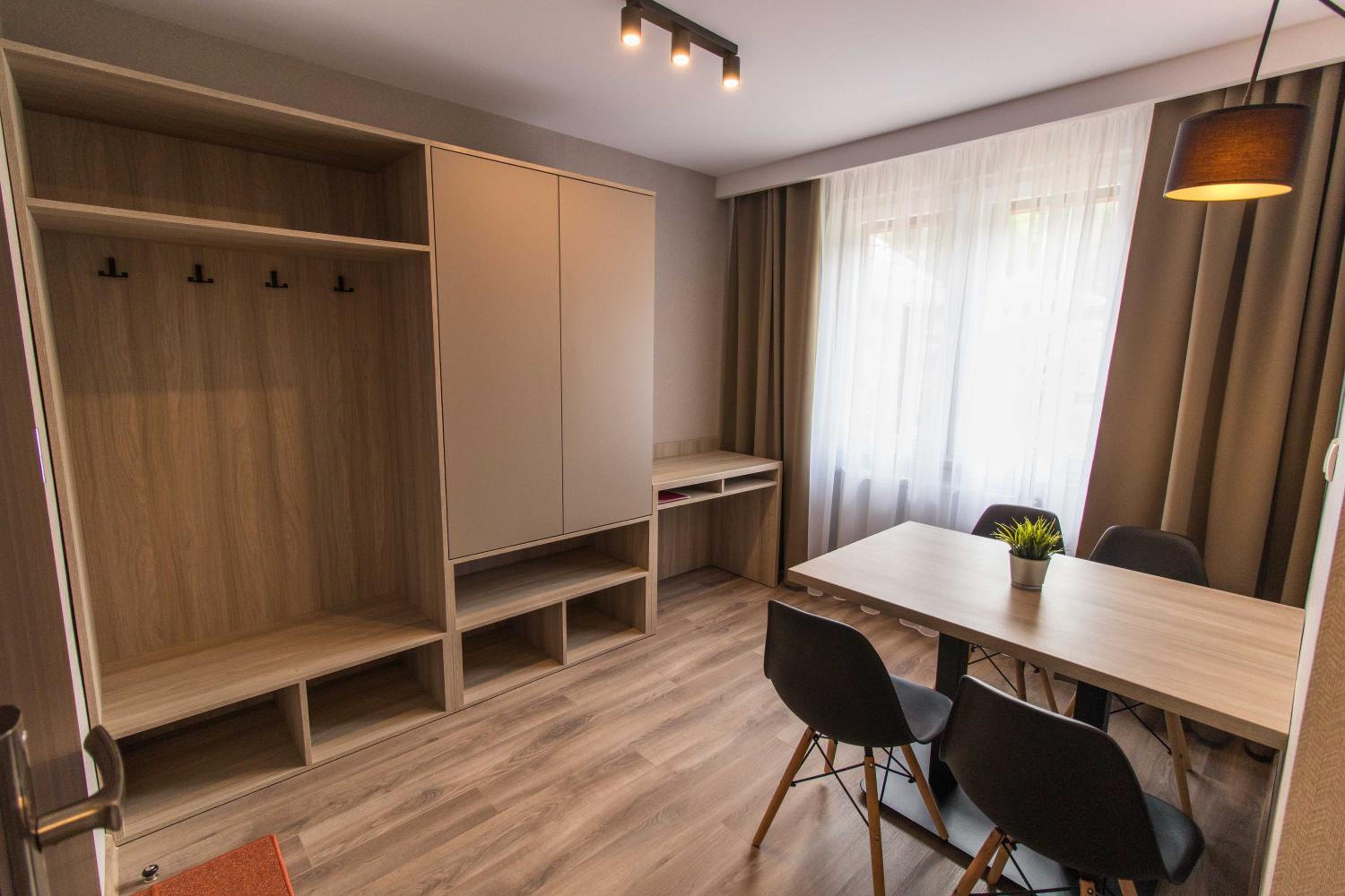 One-Bedroom Apartment photo 3