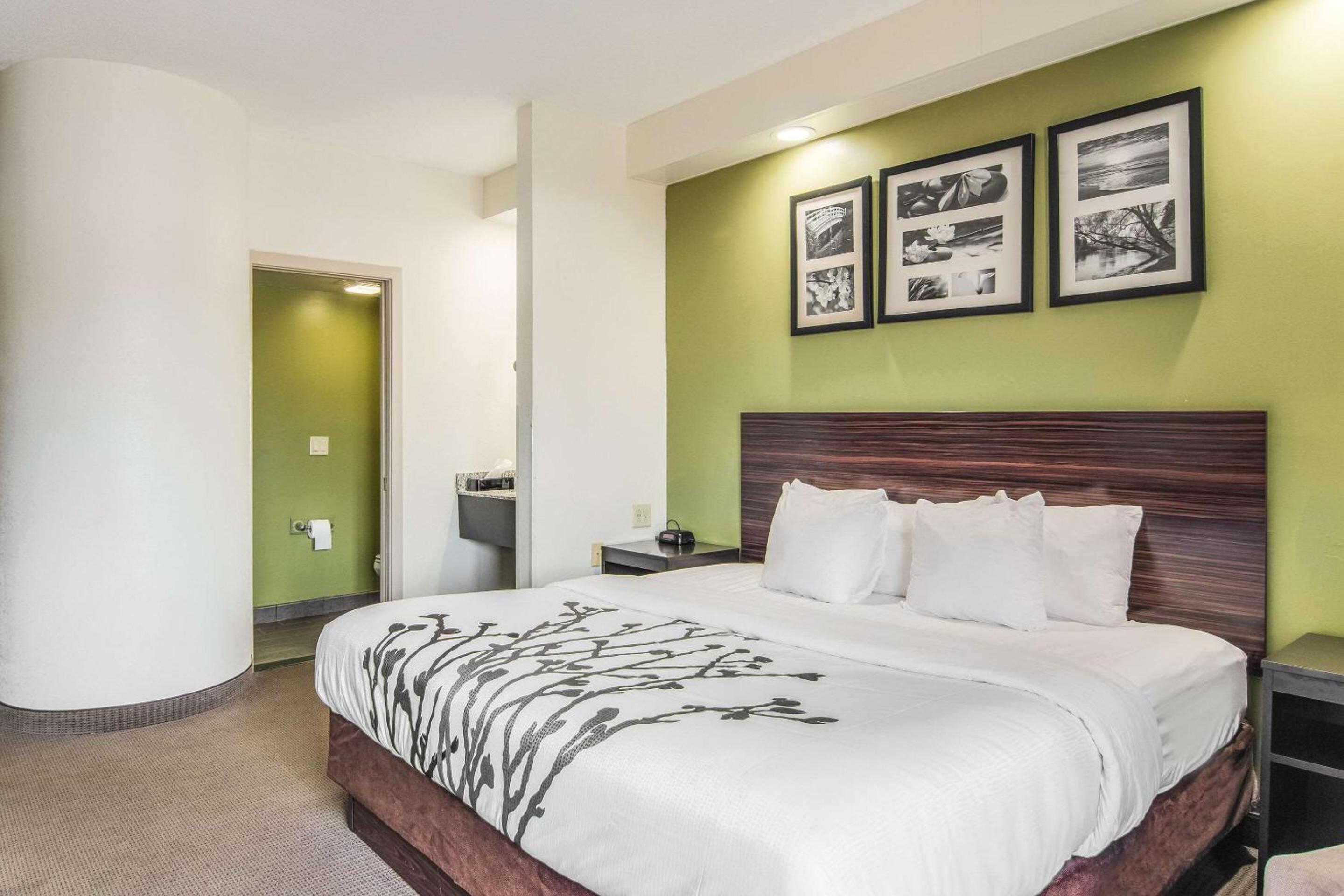 King Room - Non-Smoking - Photo 3