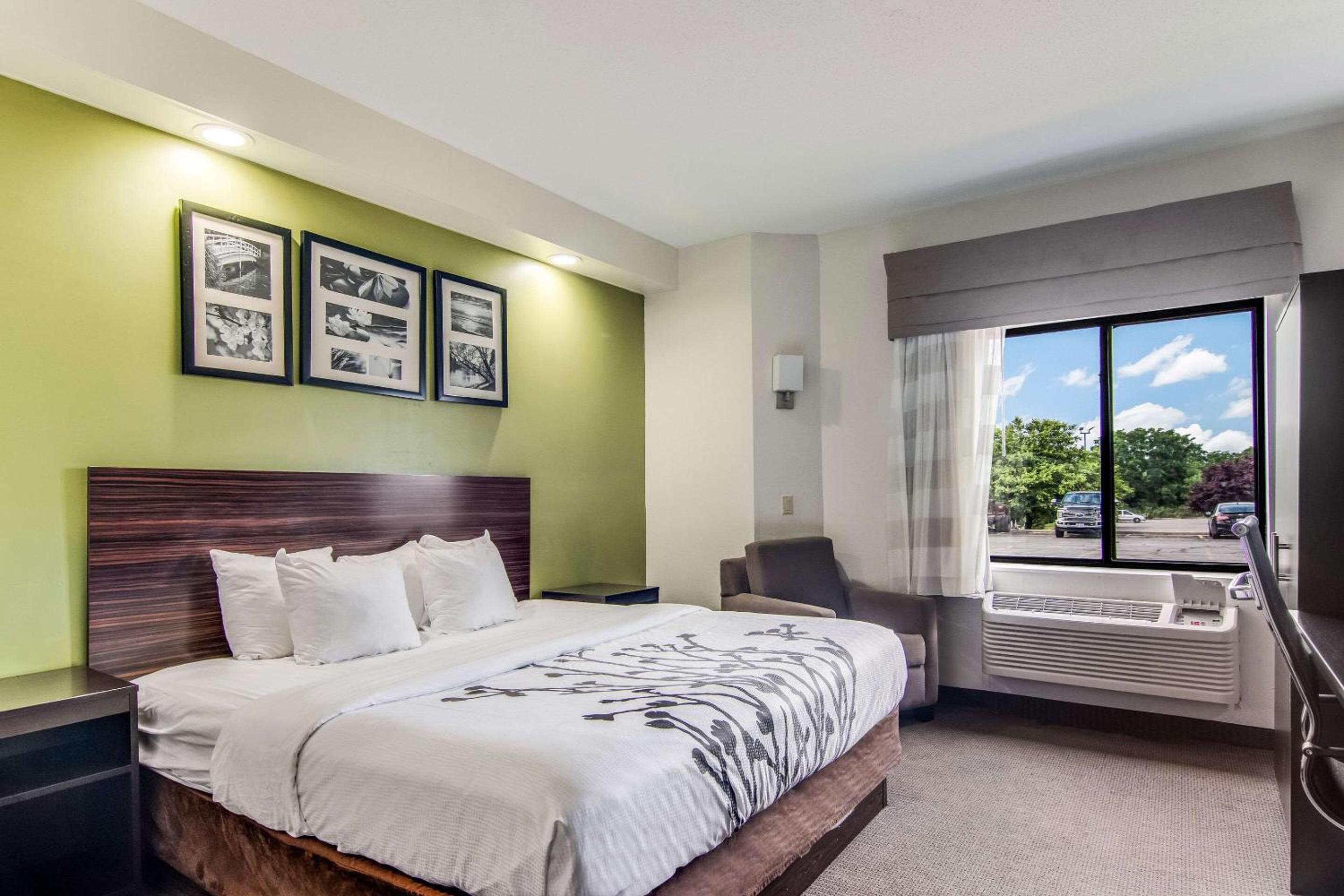 King Room - Non-Smoking - Photo 4