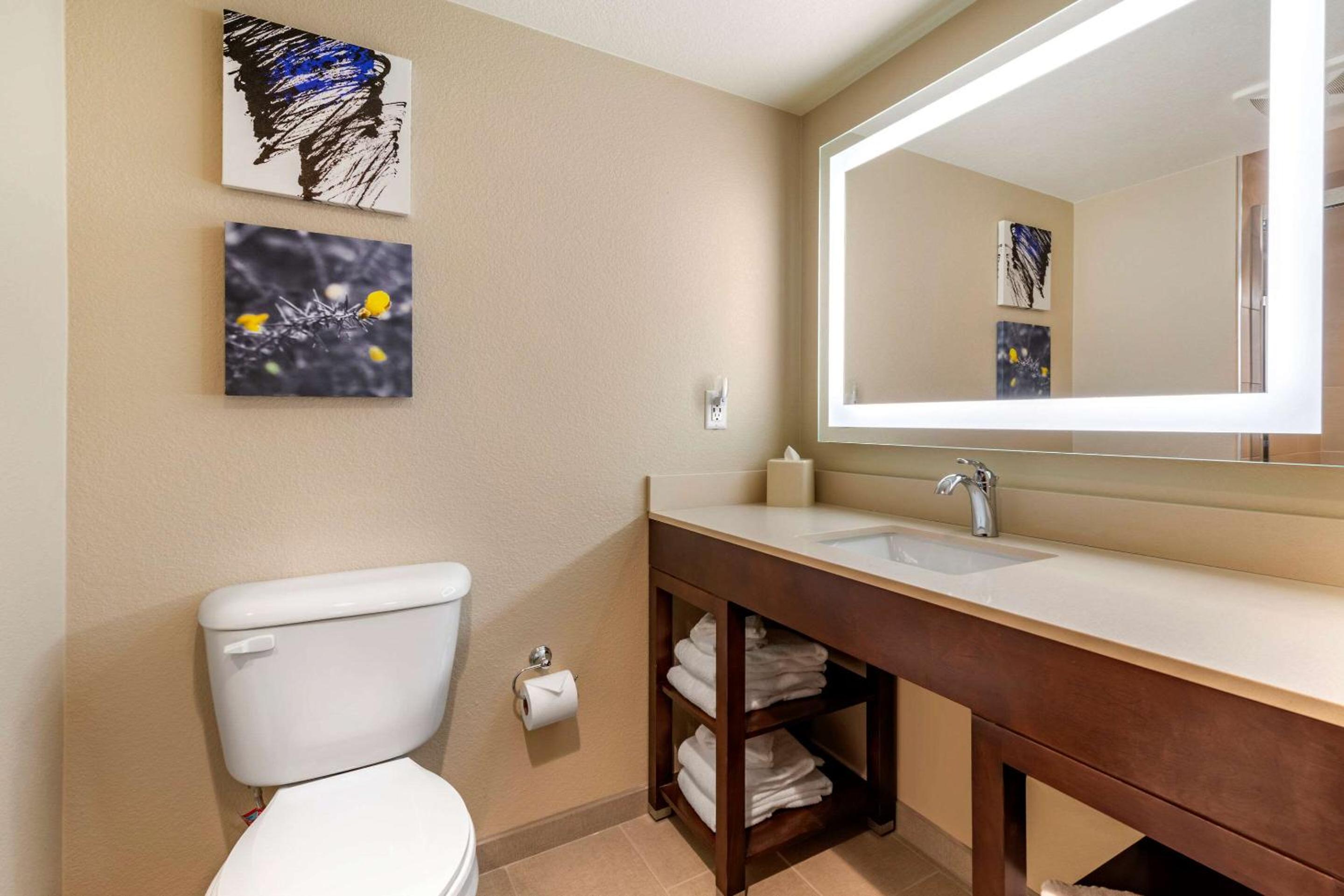 King Suite - Non-Smoking - Photo 4