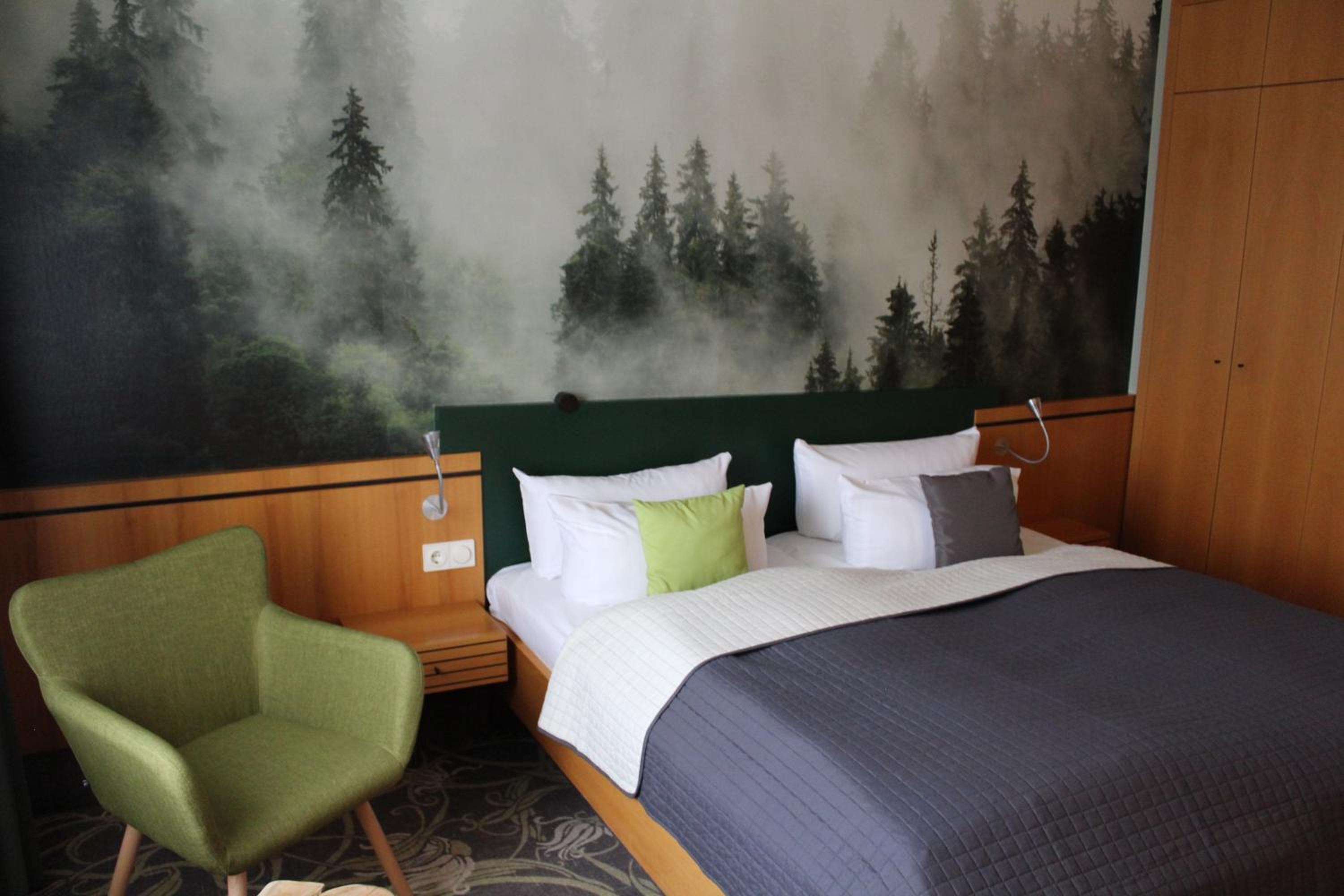 Suite - Photo 1