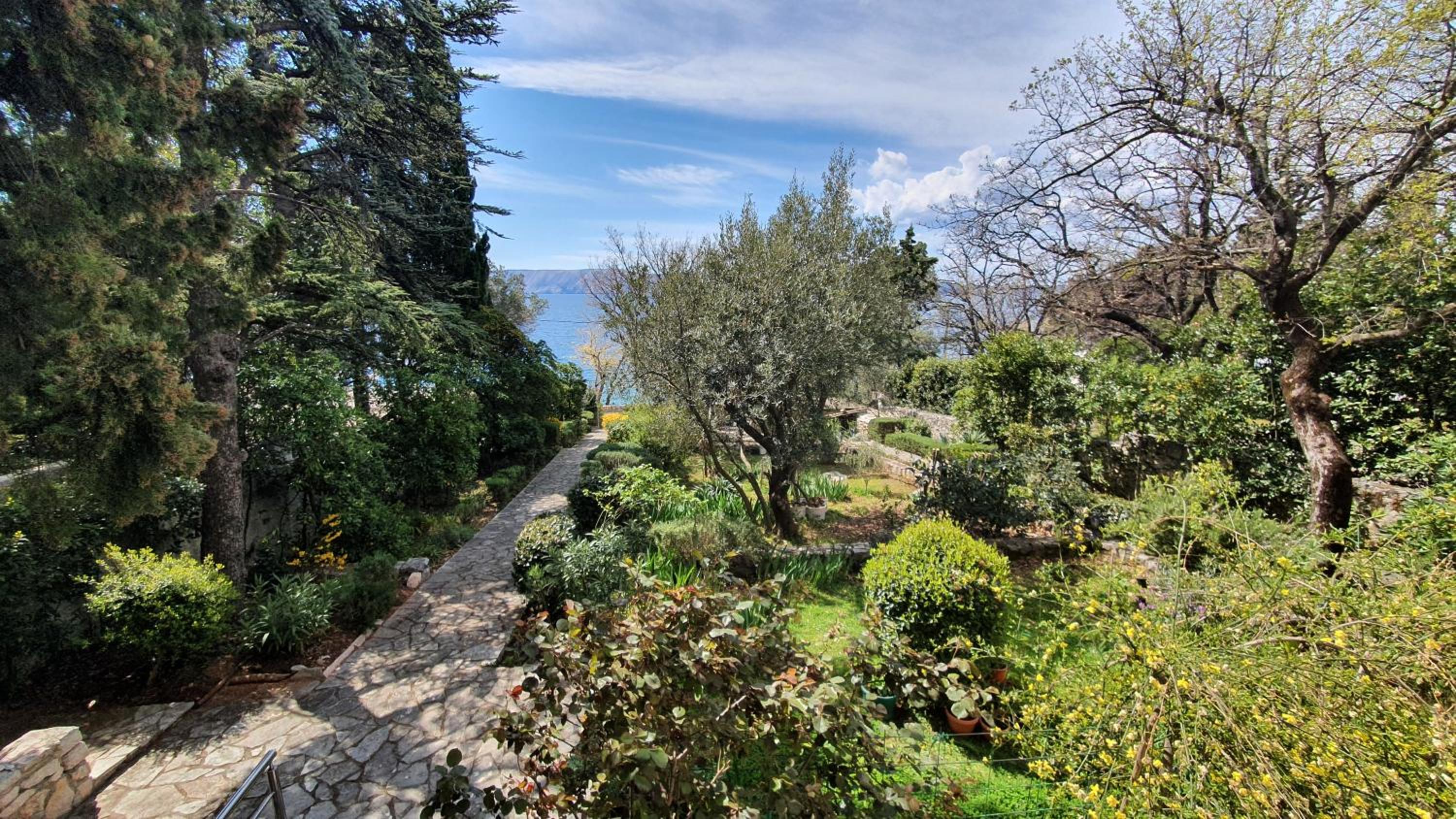 Studio with Sea View