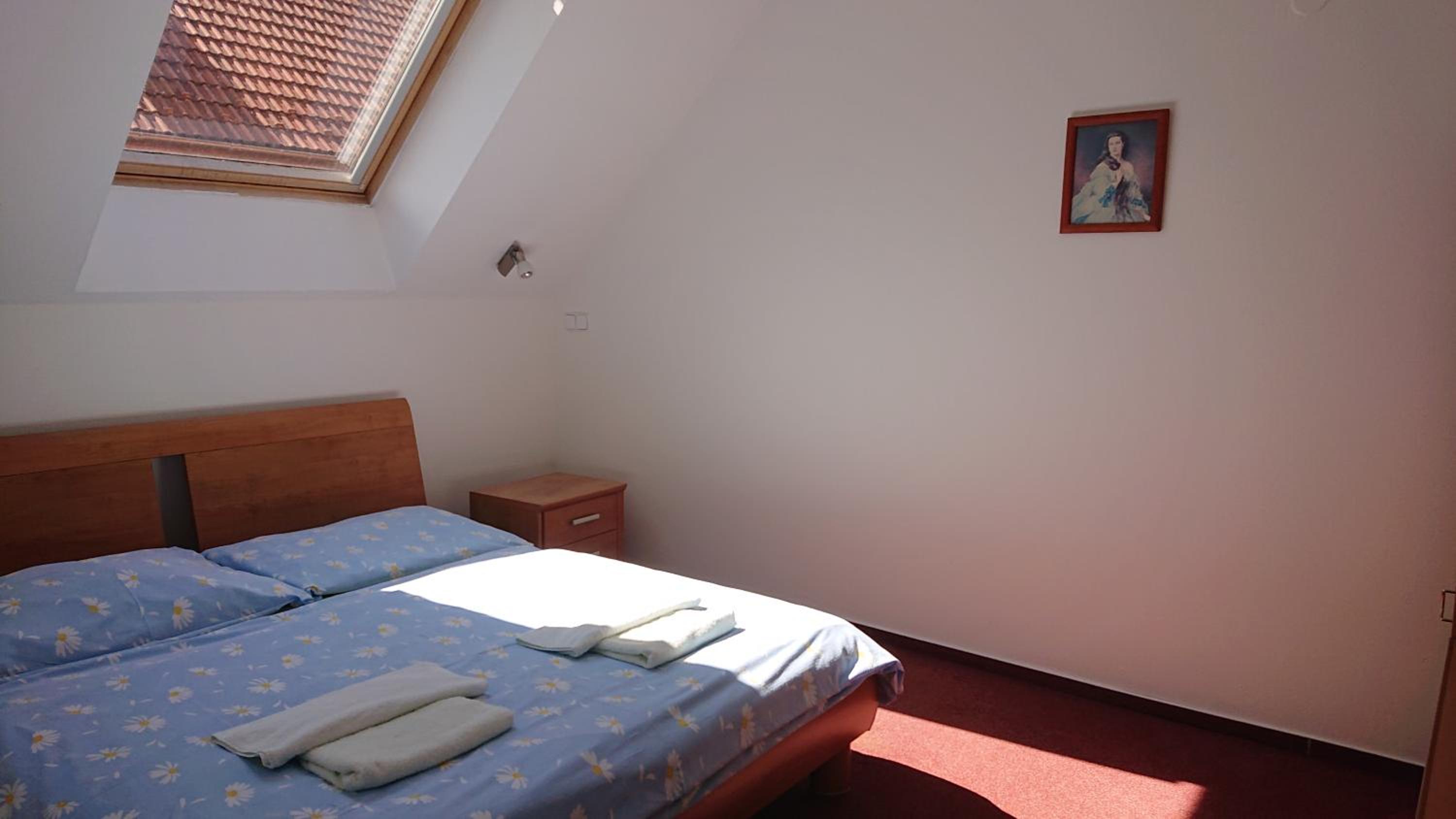 Standard Double Room photo 3