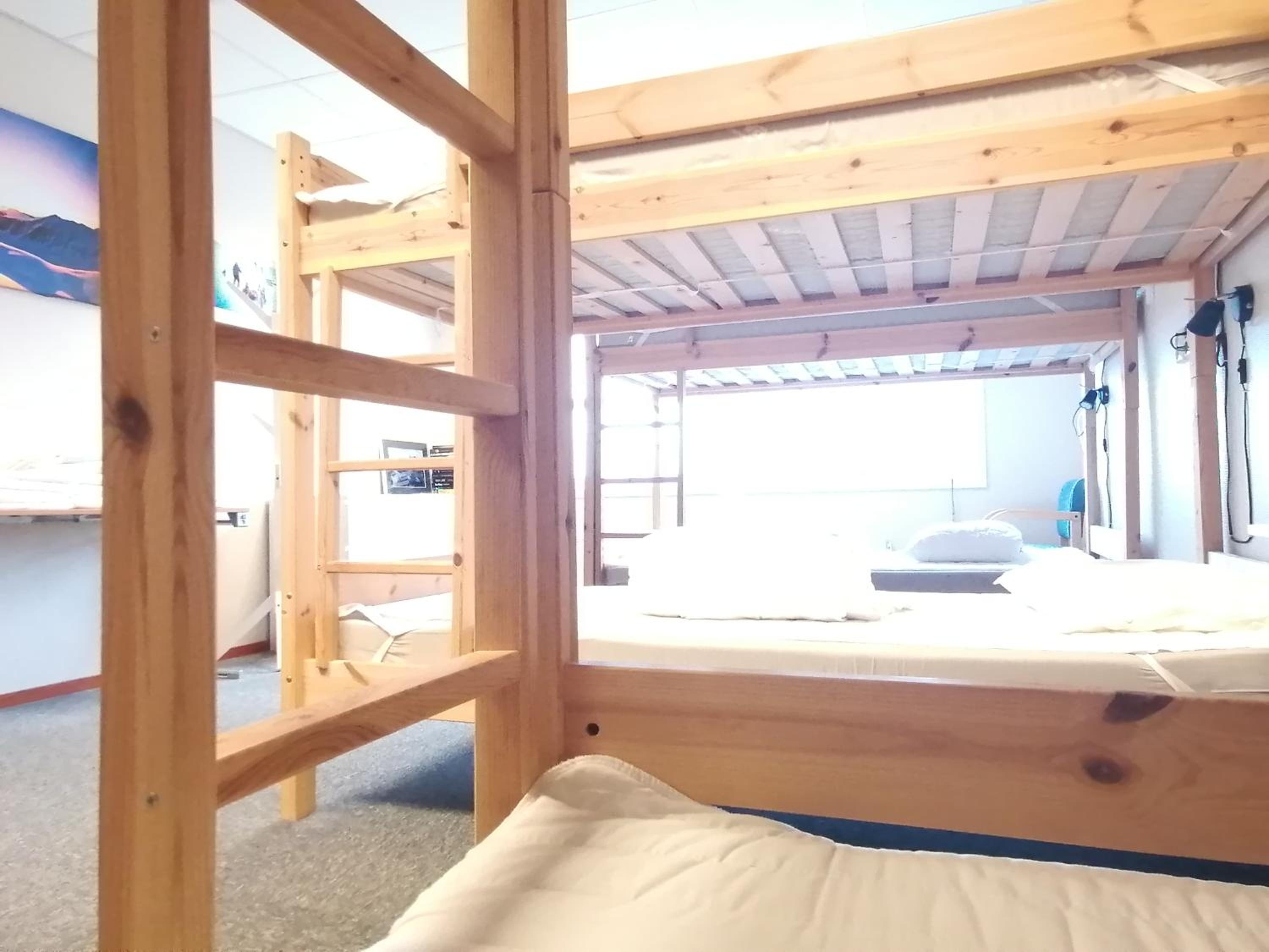 Bunk Bed in Mixed Dormitory Room photo 1