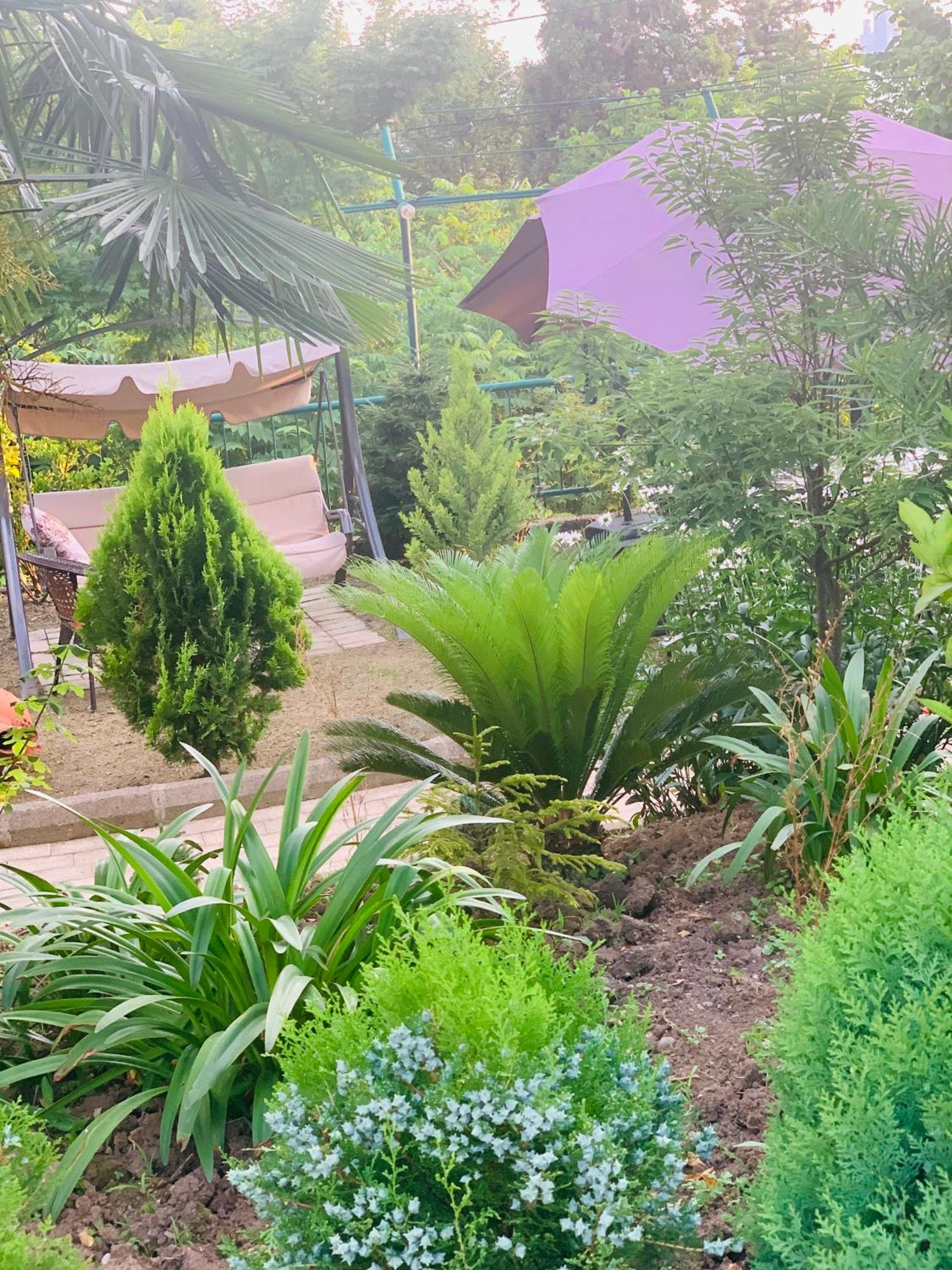 Deluxe Apartments with Balcony photo 3