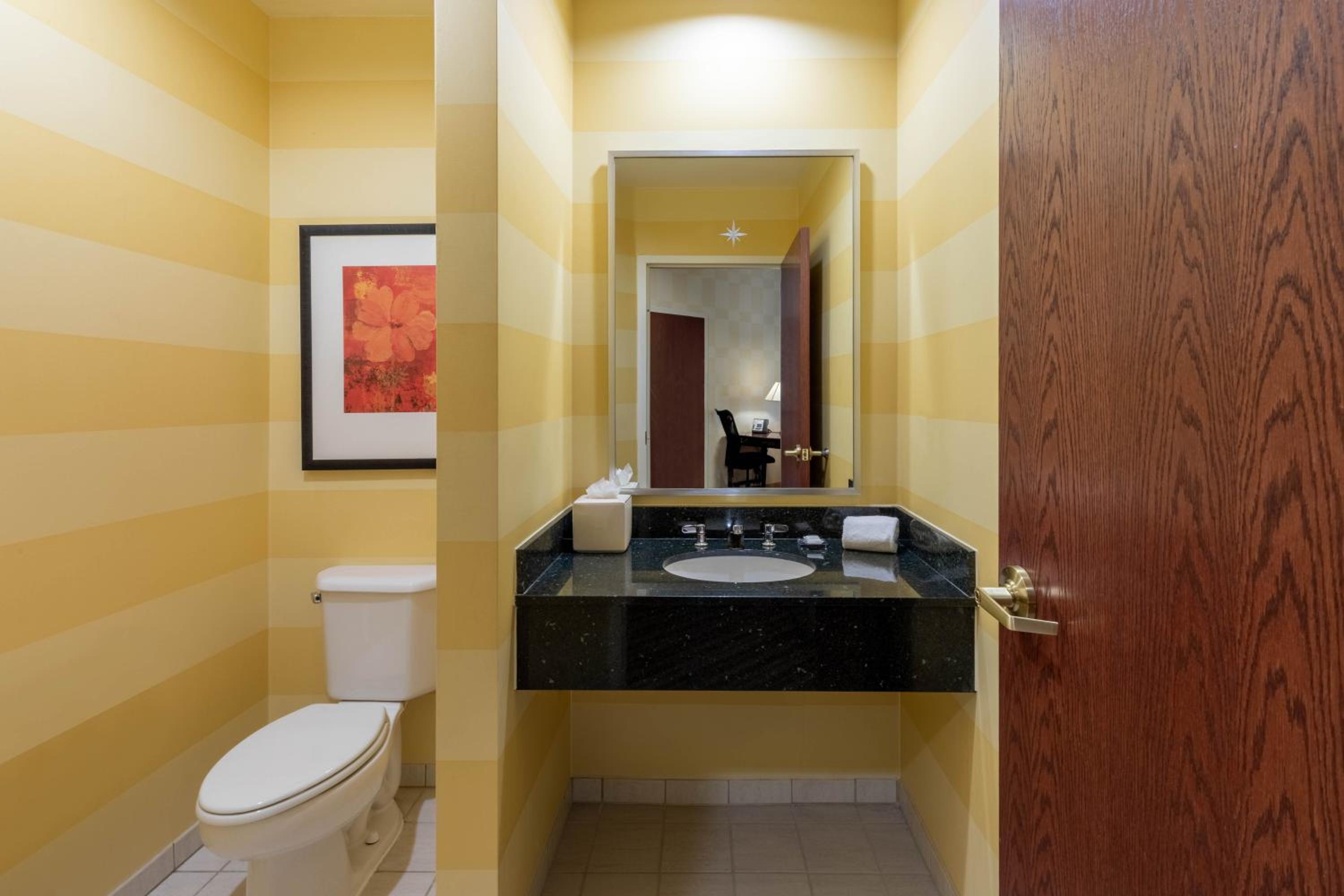 1 King Bed, One-Bedroom, Mobility/Hearing Impaired Accessible Suite, Non-Smoking - Photo 5
