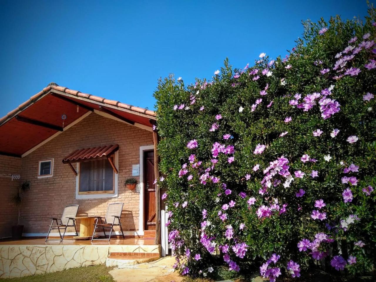 Chalet - Photo 12