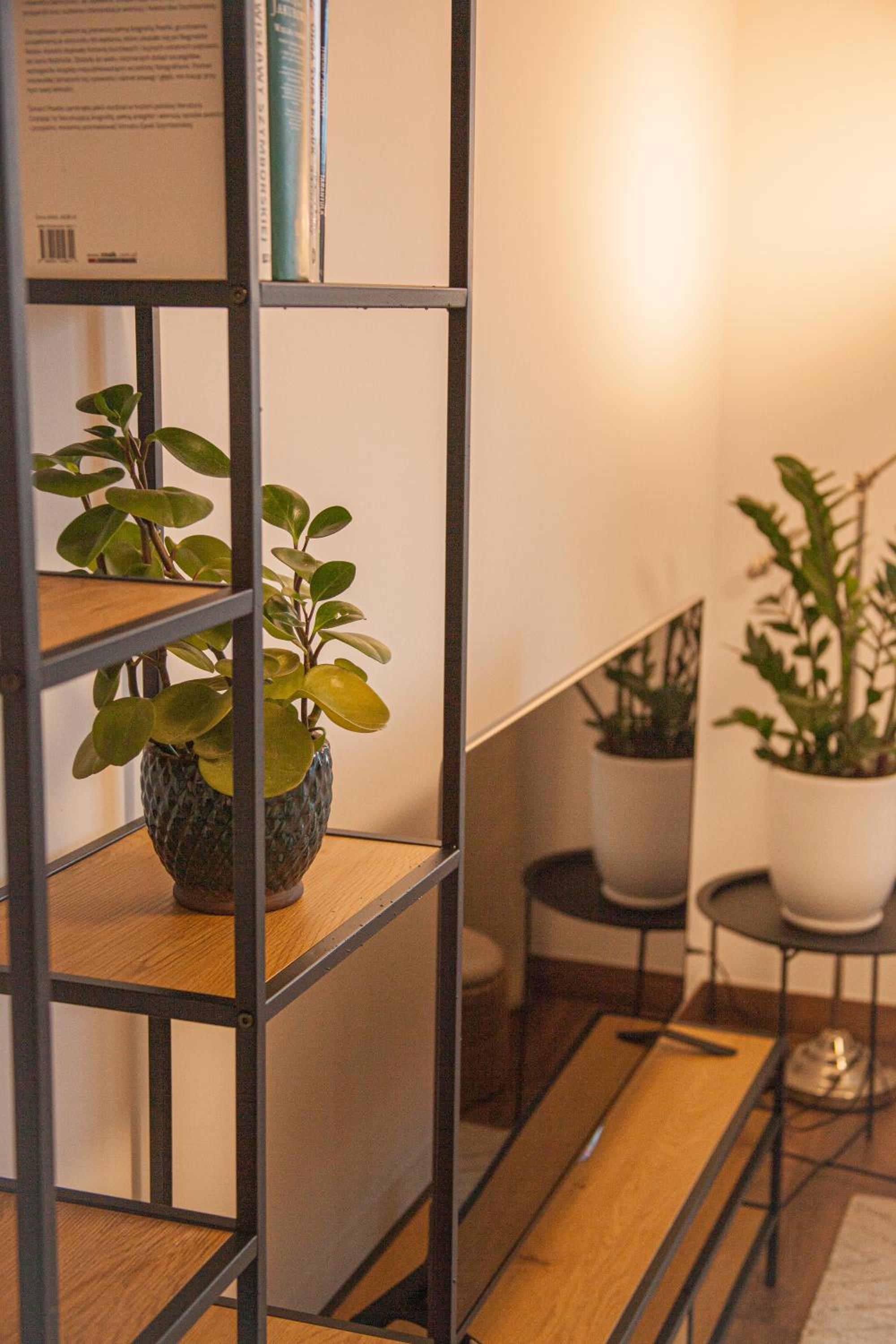 One-Bedroom Apartment - Photo 7