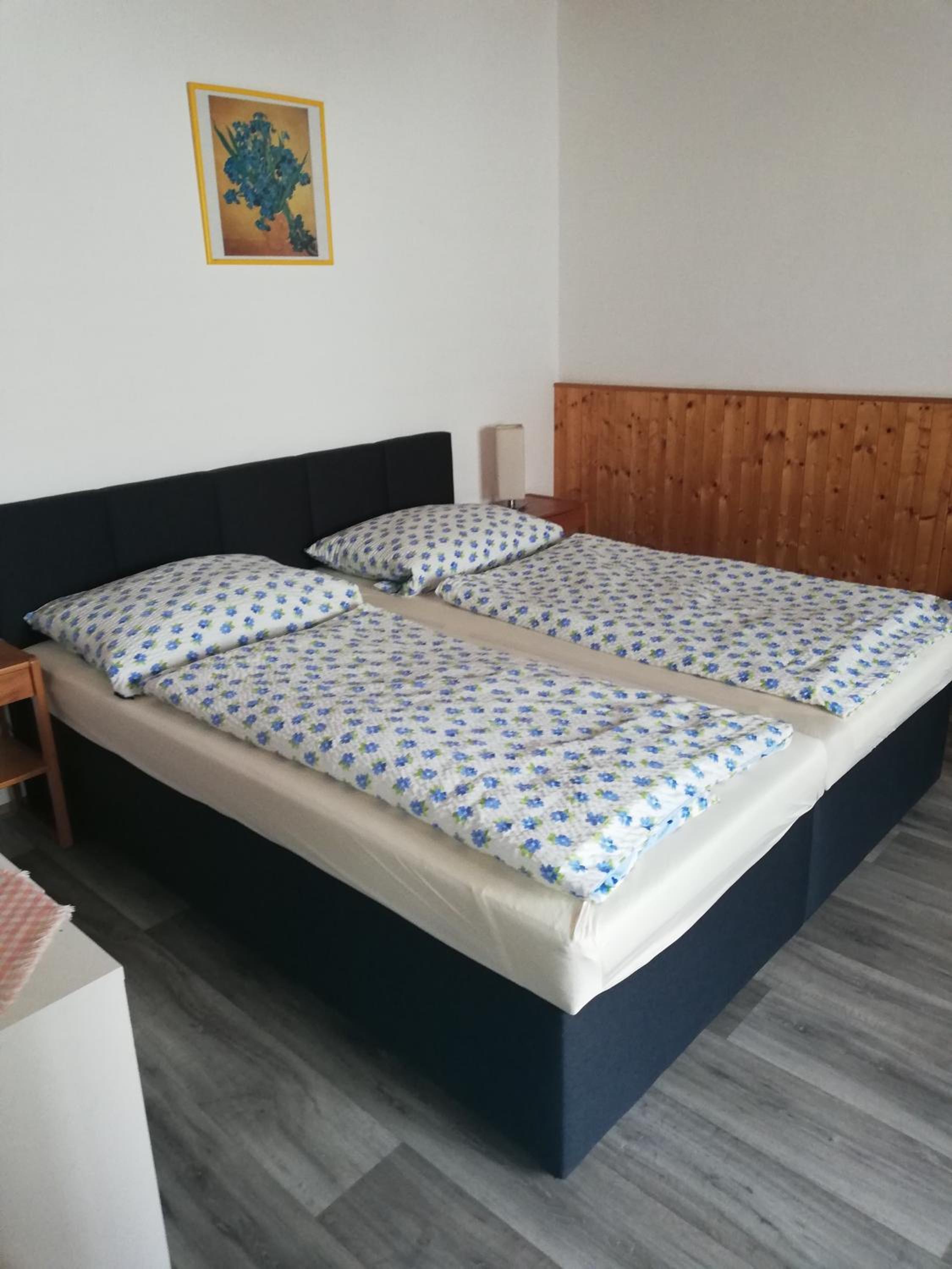 Deluxe Double Room with Extra Bed photo 1