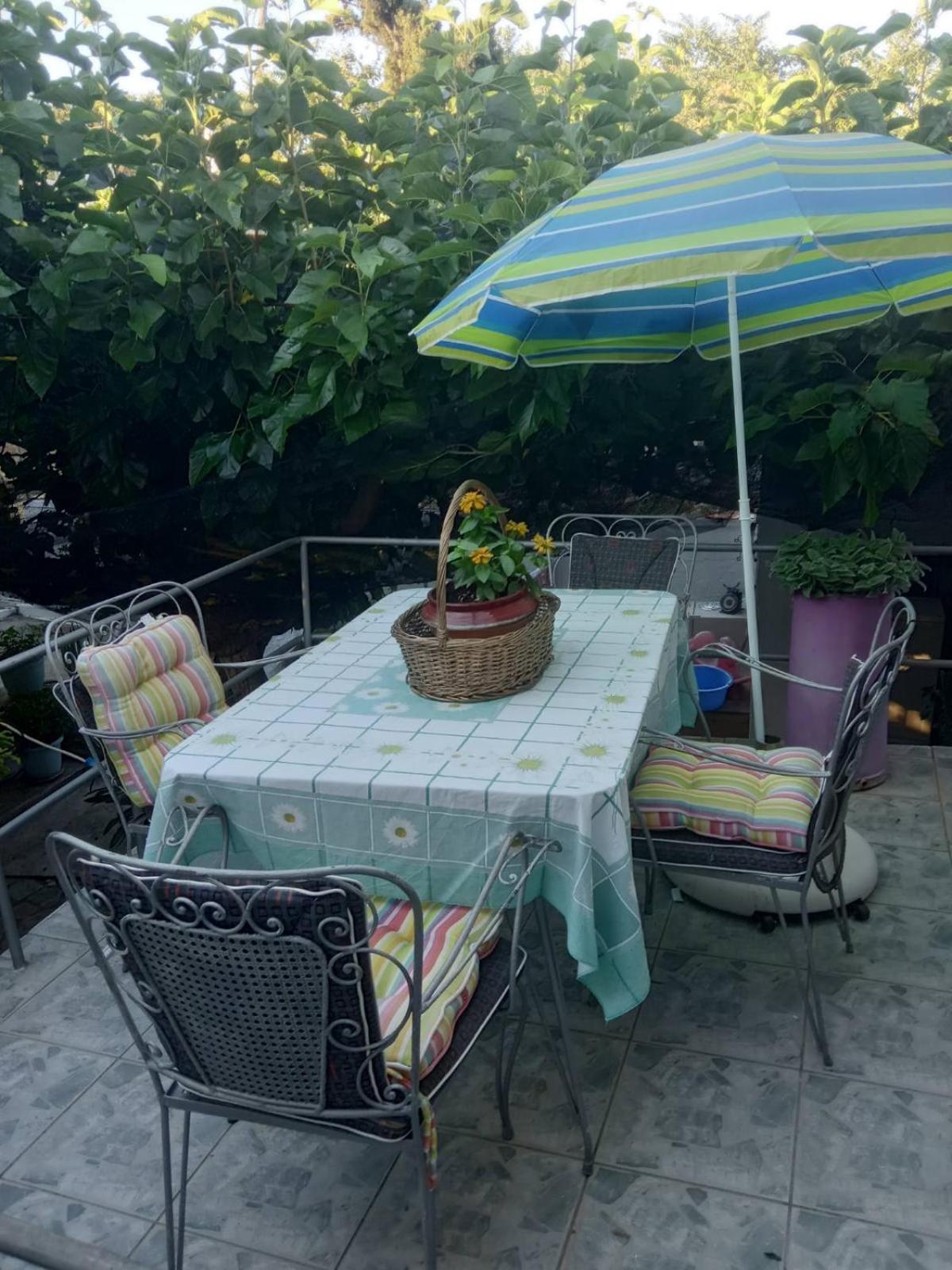 Vacation Home photo 2