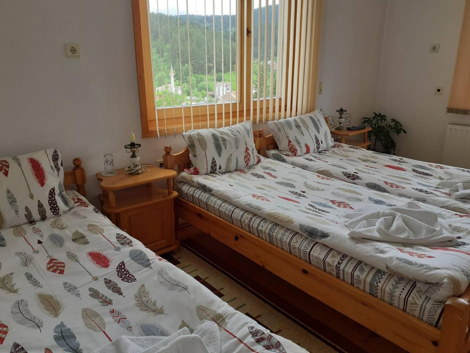 Triple Room with Mountain View photo 1