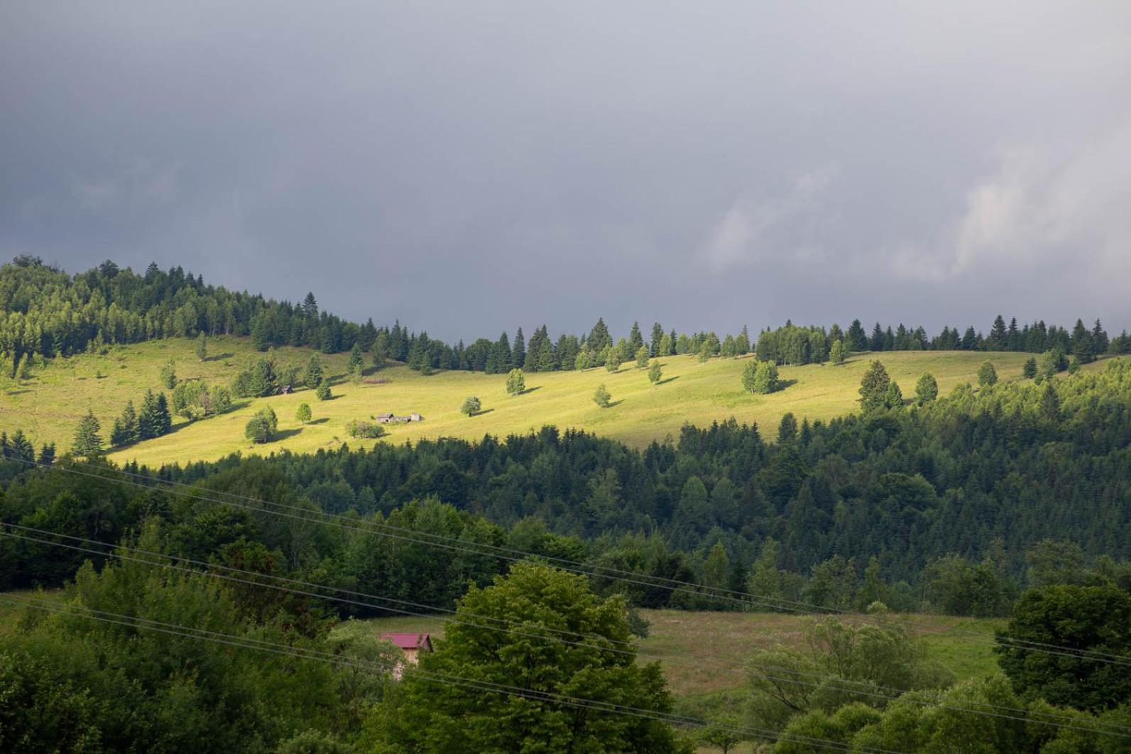 Vacation Home - Photo 52