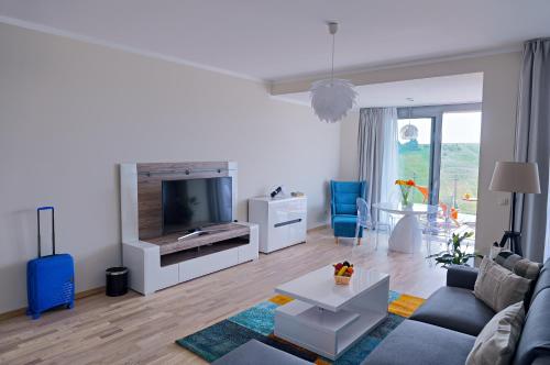 One-Bedroom Apartment with Terrace photo 3