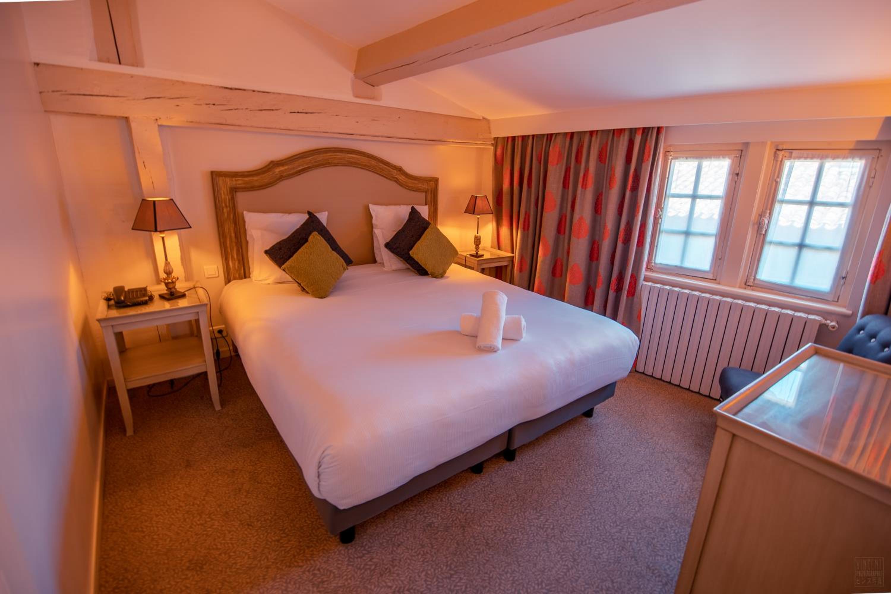 Suite - Photo 1