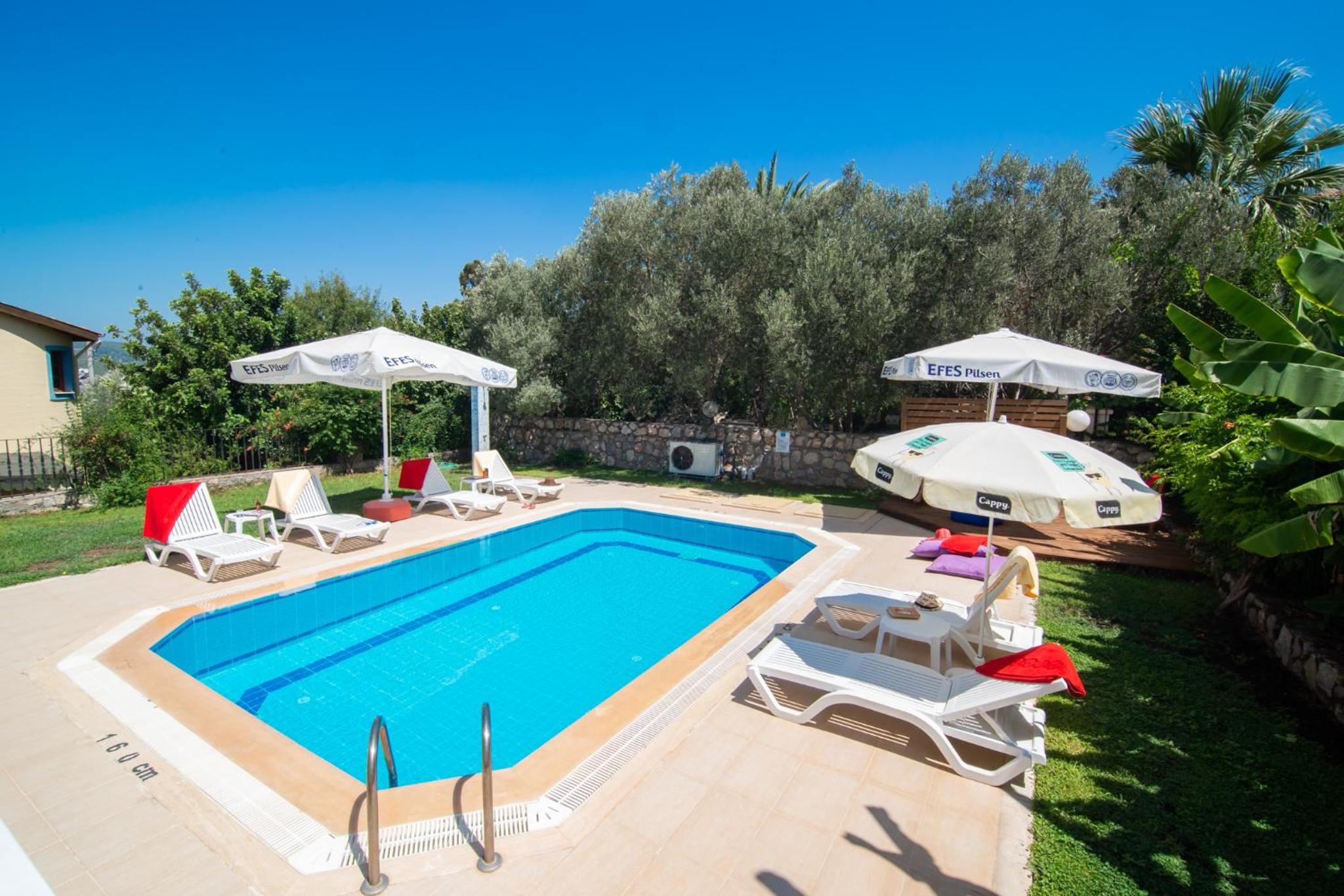 Standard Villa photo 3