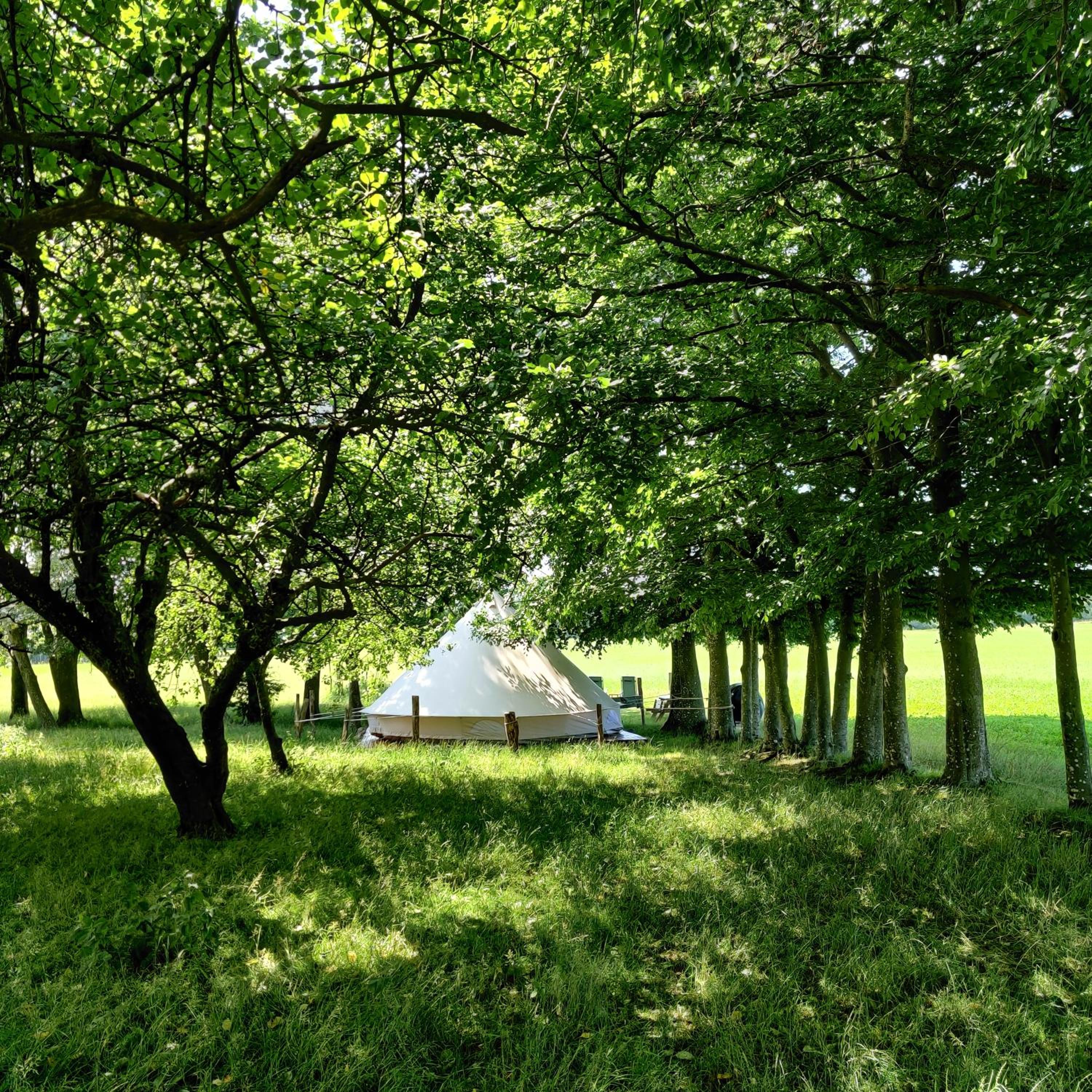 Luxury Tent Lærken photo 2