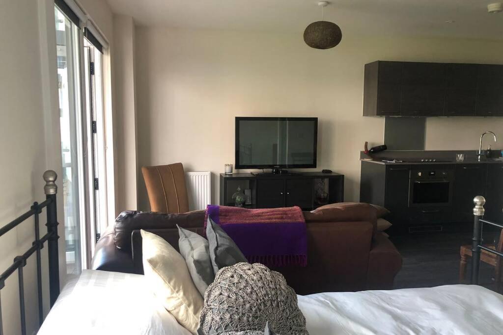 One-Bedroom Apartment photo 3
