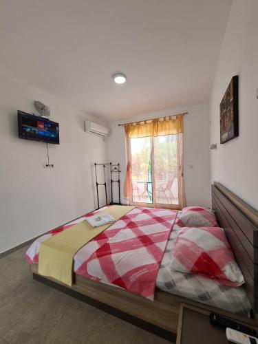 King Studio with Sofa Bed