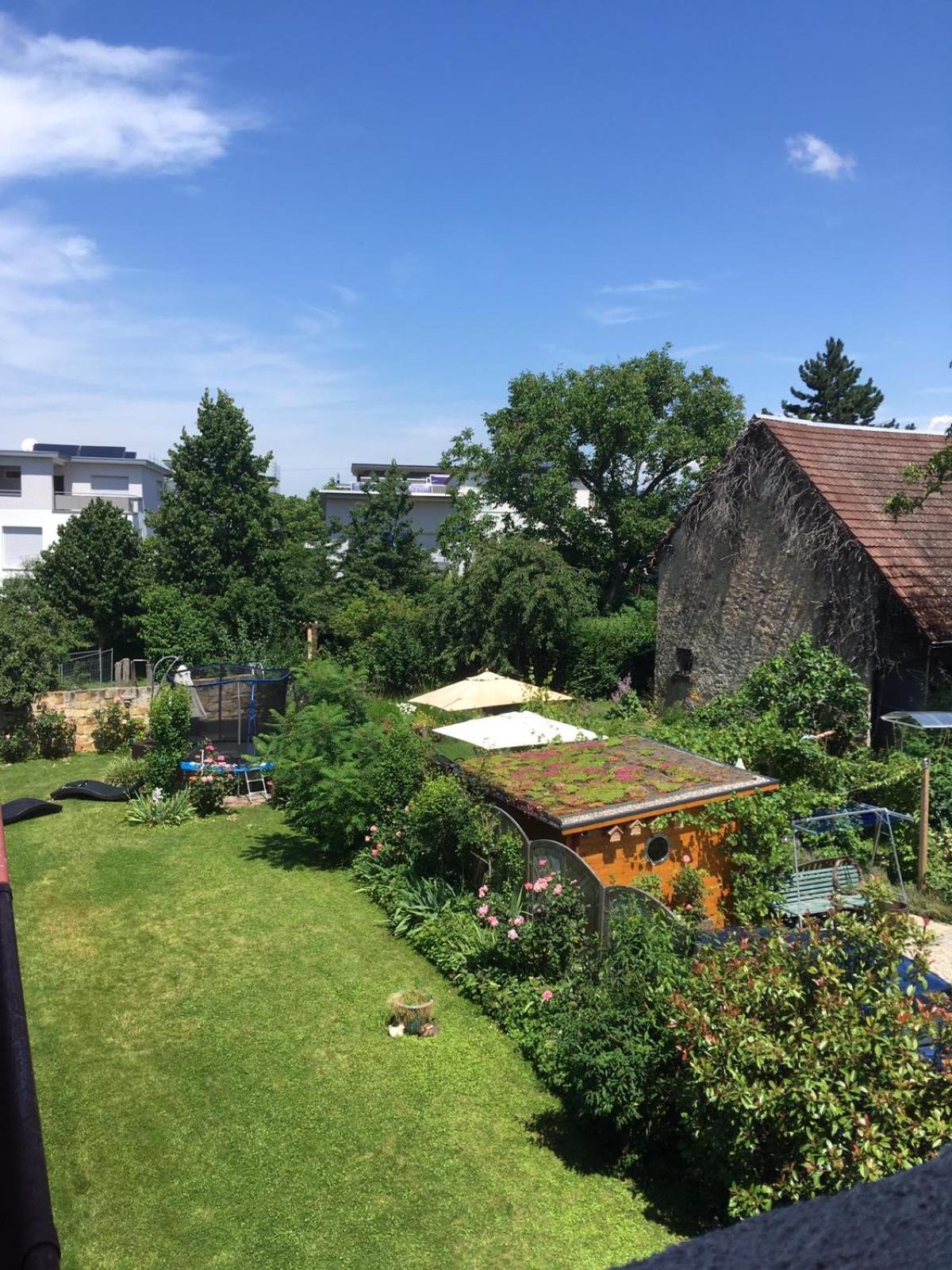 Apartment with Mountain View - Photo 3