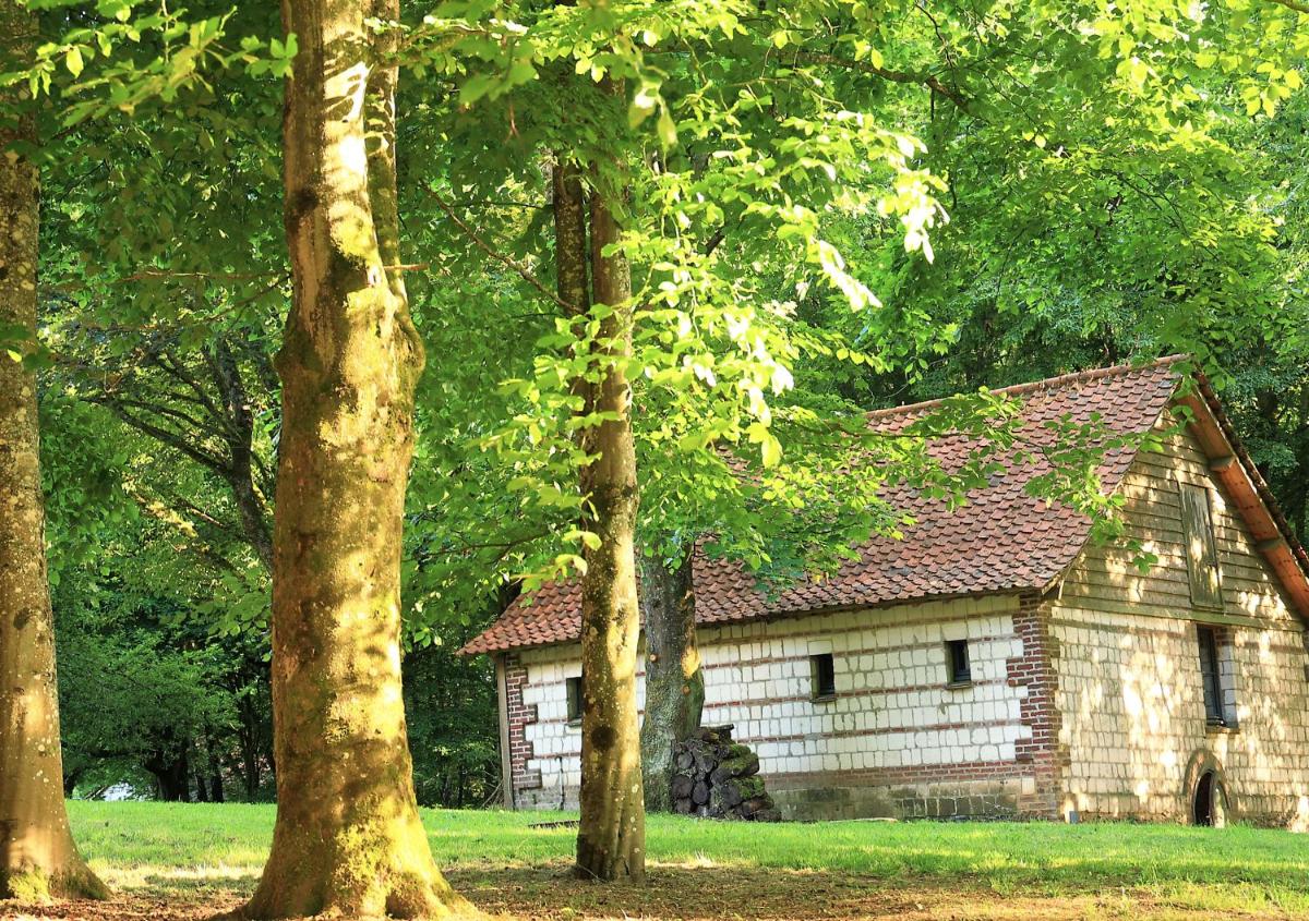 Quadruple Room with Garden View photo 1