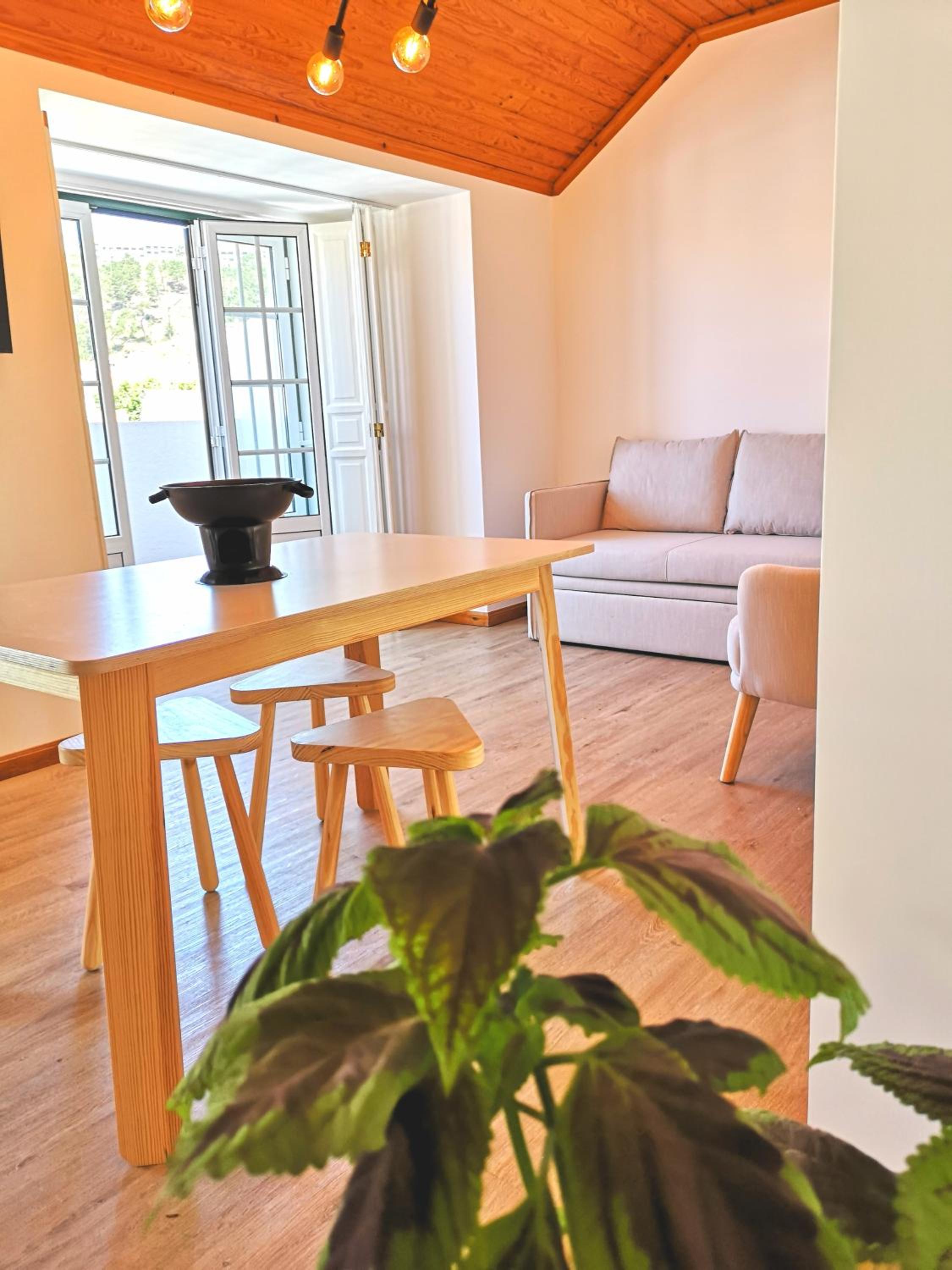Apartment with Terrace photo 3