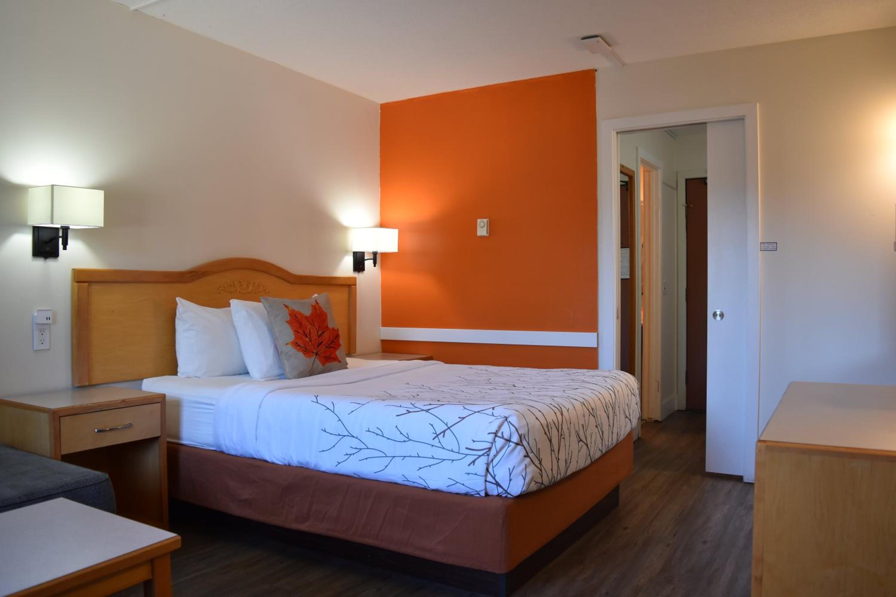 Queen Room - Photo 1