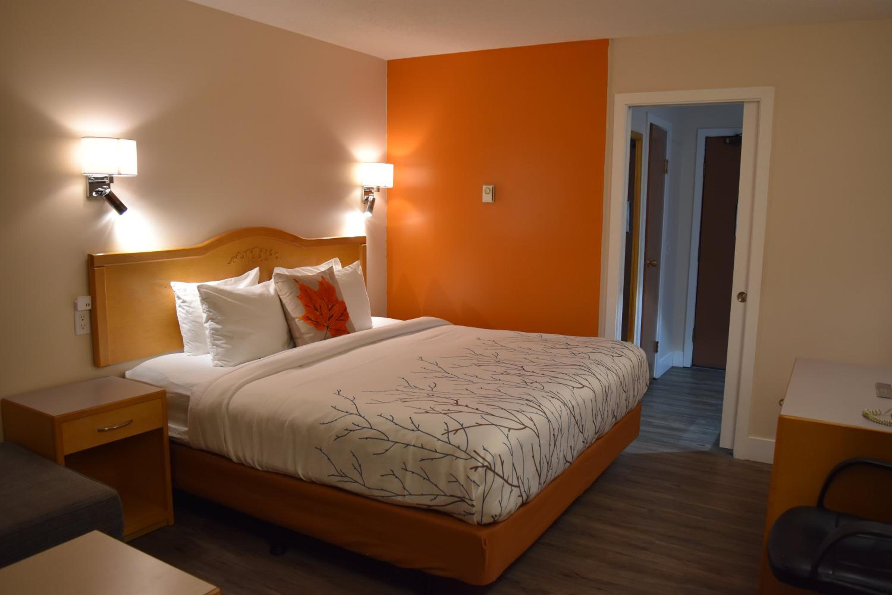 King Room - Photo 1