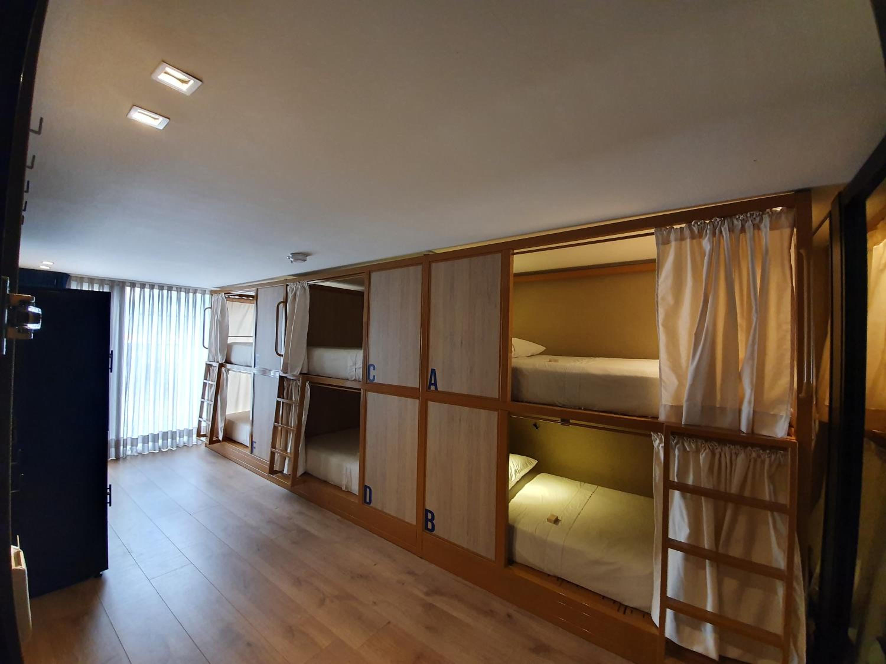 Bed in 6-Bed Female Dormitory Room photo 3